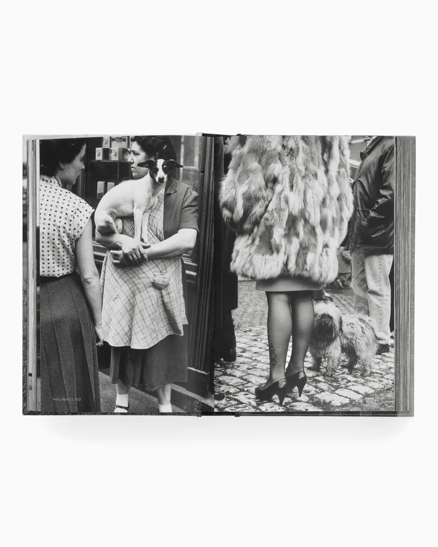 Phaidon Elliot Erwitt: Vida De Perros