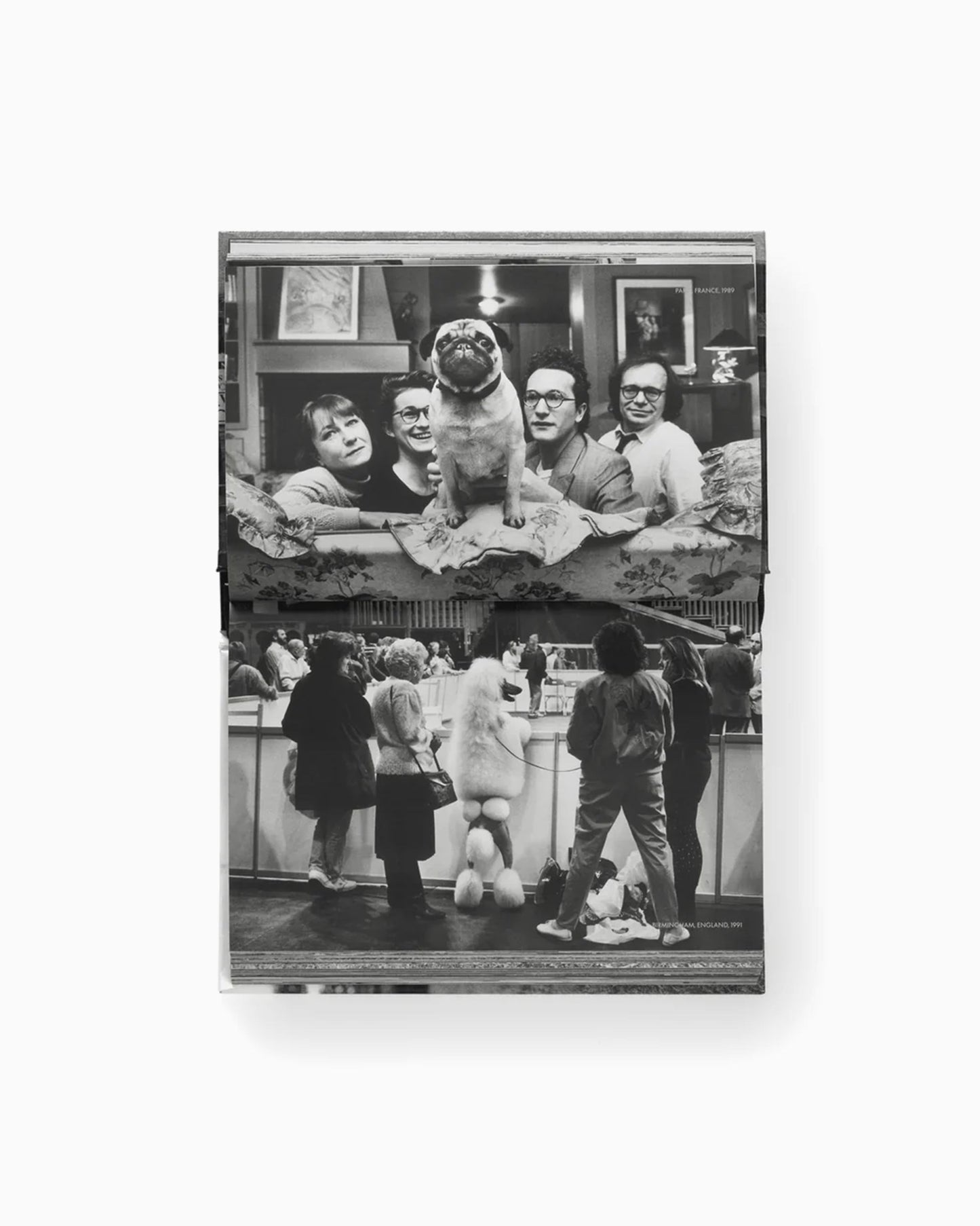 Phaidon Elliot Erwitt: Vida De Perros