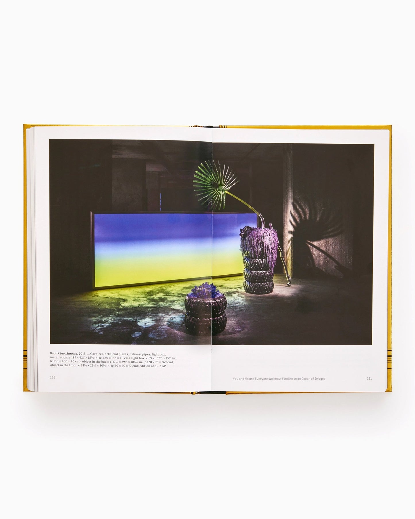 Phaidon Internet_Art: From the Birth of the Web to the Rise of NFTs By Dr. Omar Kholeif