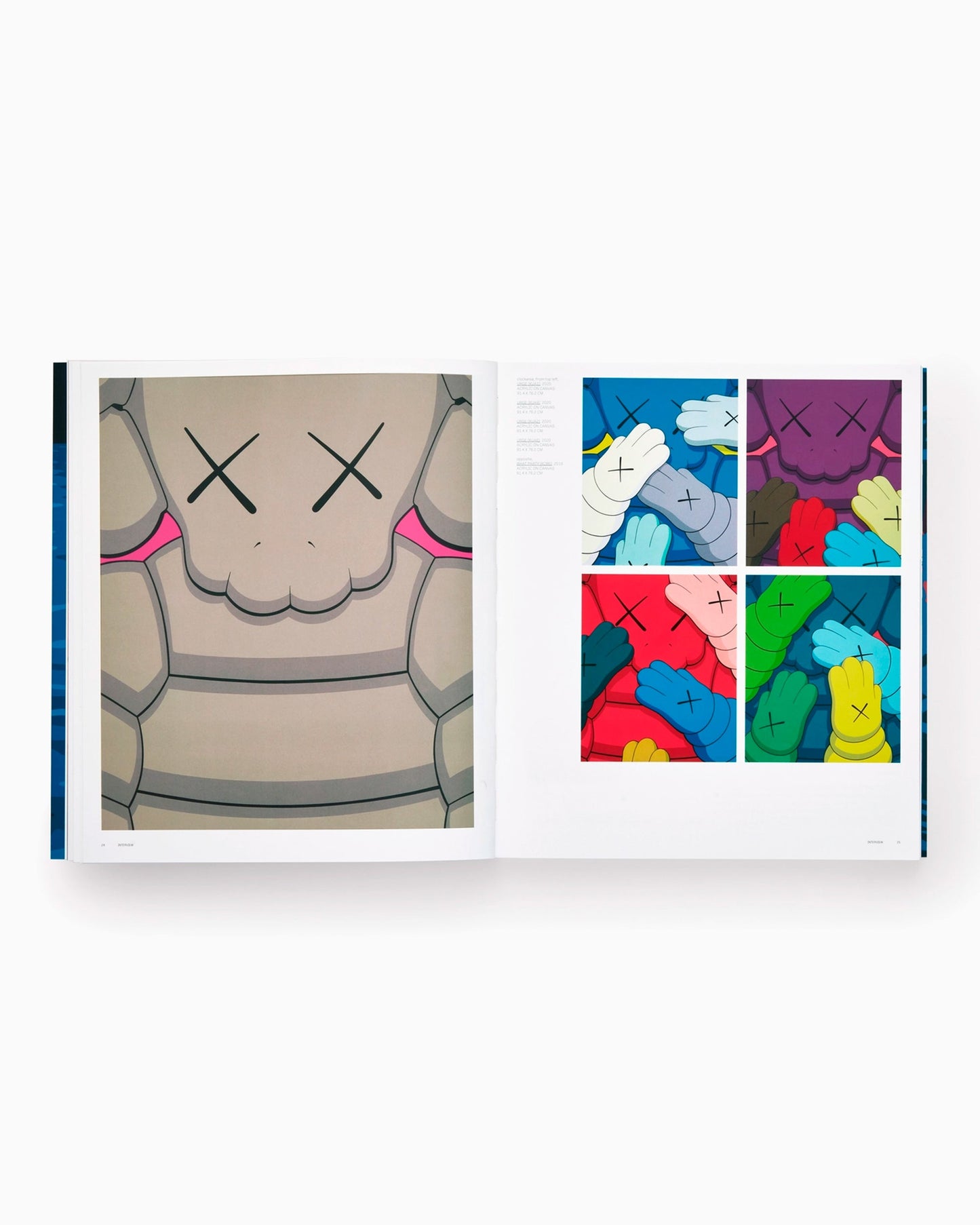 Phaidon KAWS: Contemporary Artists