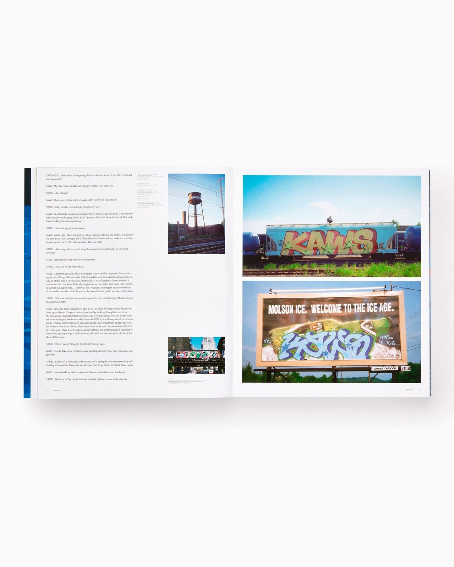 Phaidon KAWS: Contemporary Artists