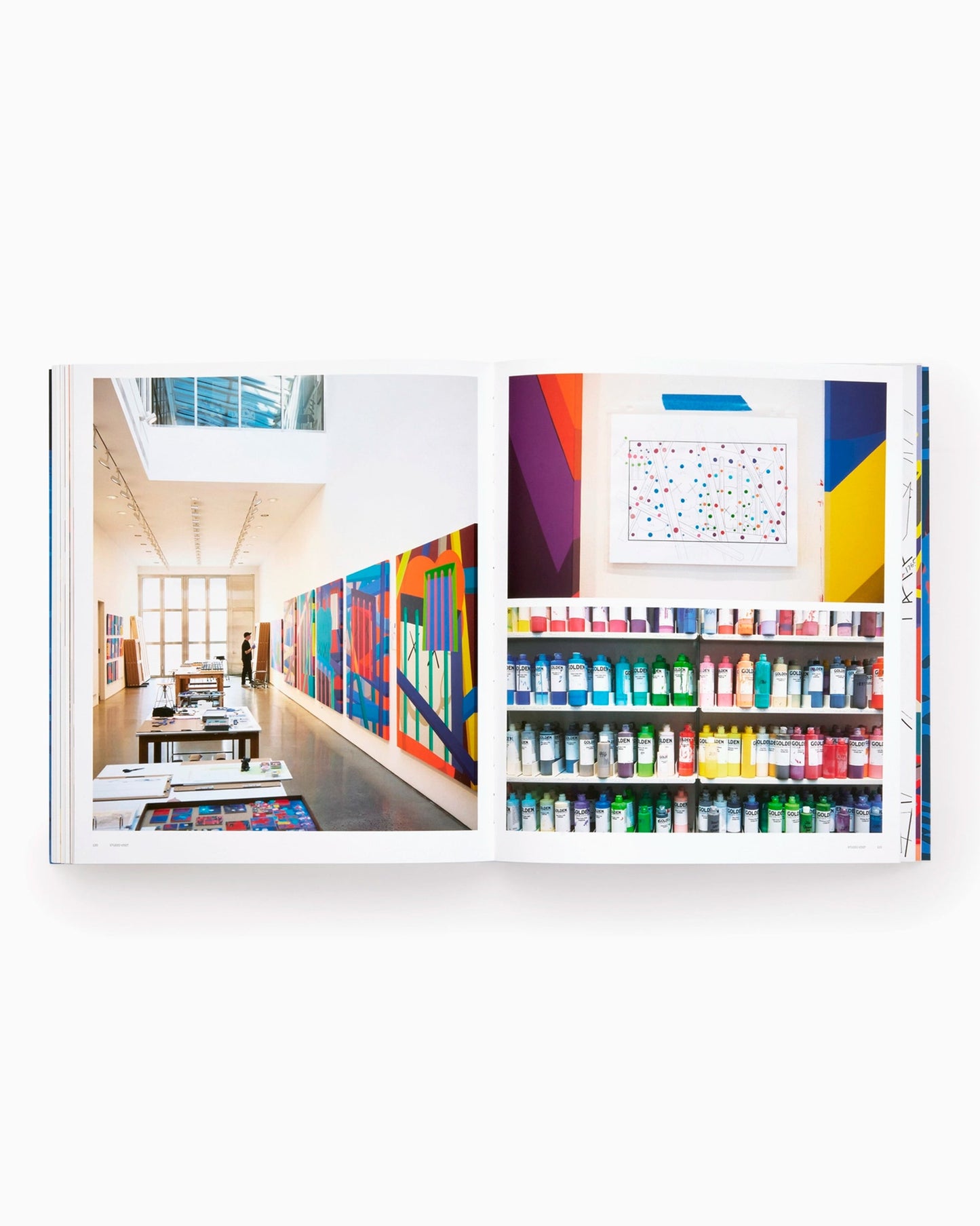 Phaidon KAWS: Contemporary Artists