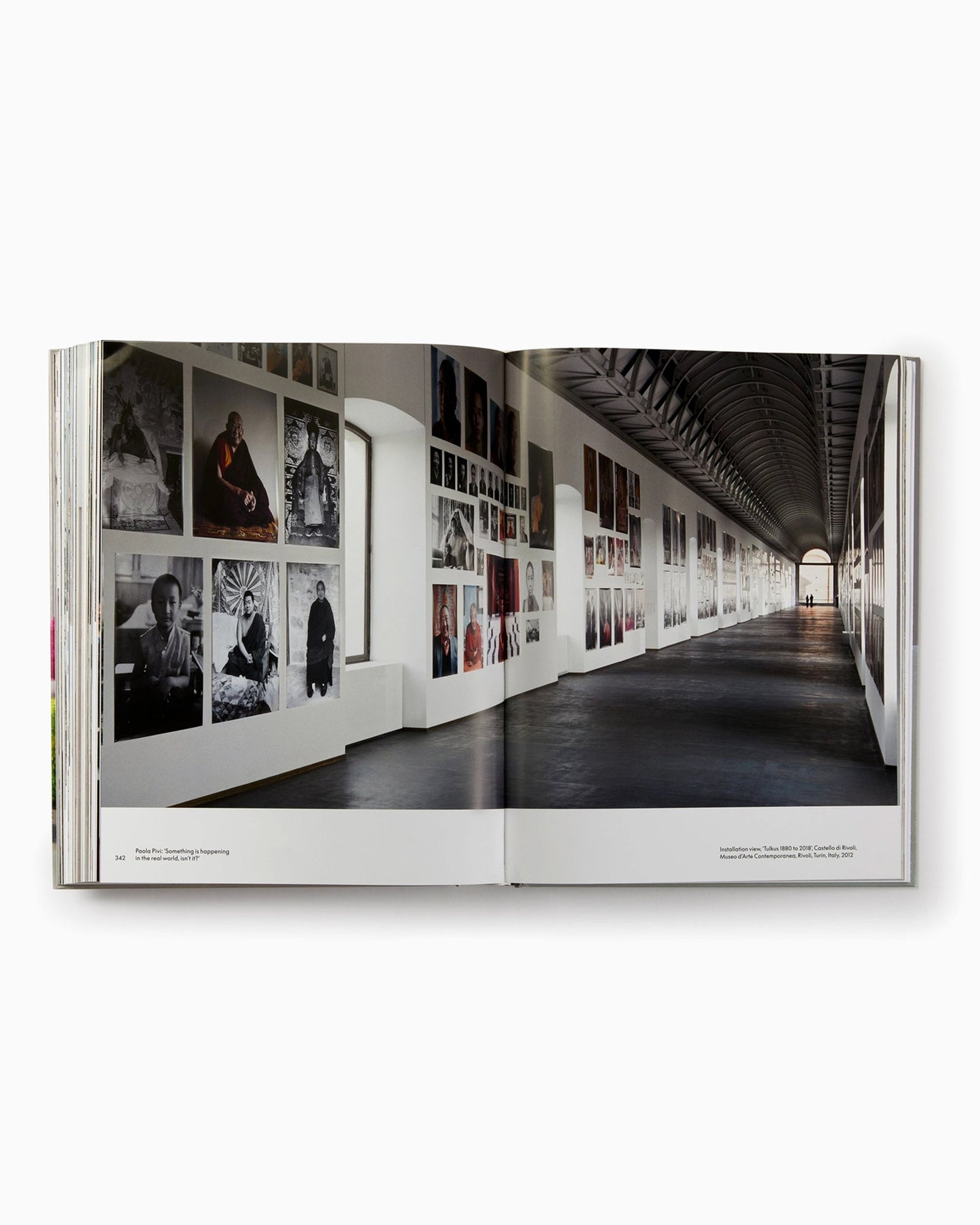 Phaidon Paola Pivi By Justine Ludwig