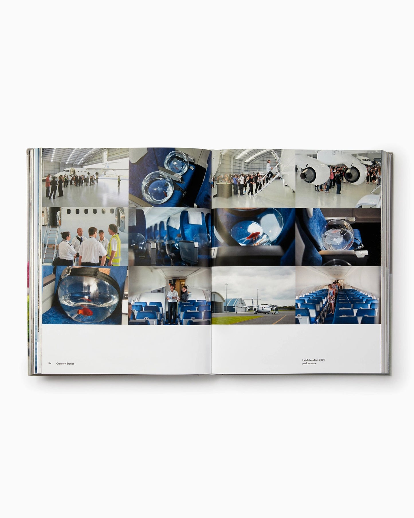 Phaidon Paola Pivi By Justine Ludwig