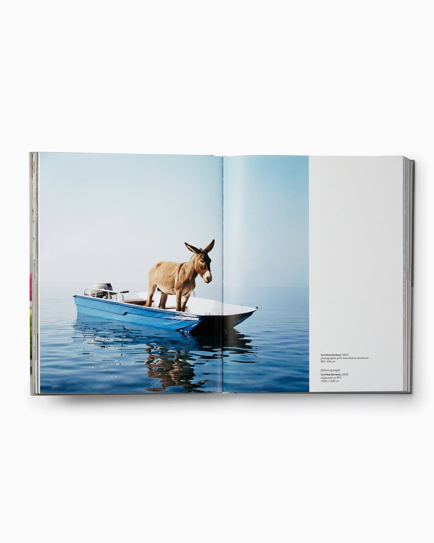 Phaidon Paola Pivi By Justine Ludwig