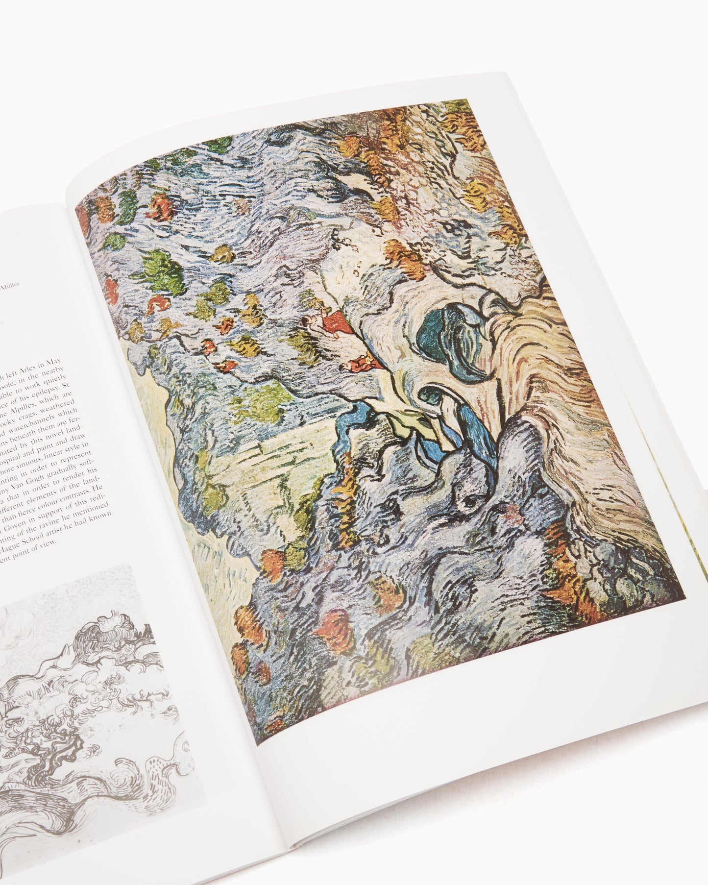 Phaidon Van Gogh: Colour Library By Wilhelm Uhde