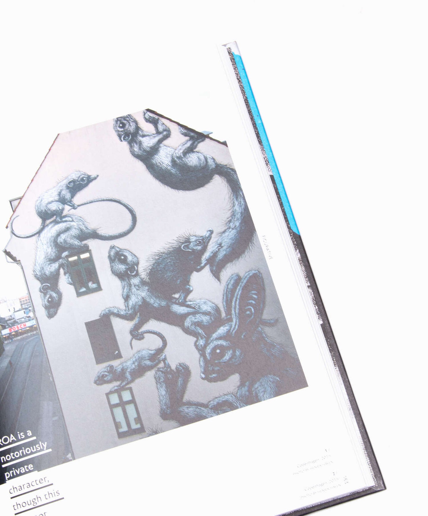 Rizzoli Street Art Today: The 50 Most Influential Street Artists Today  Book