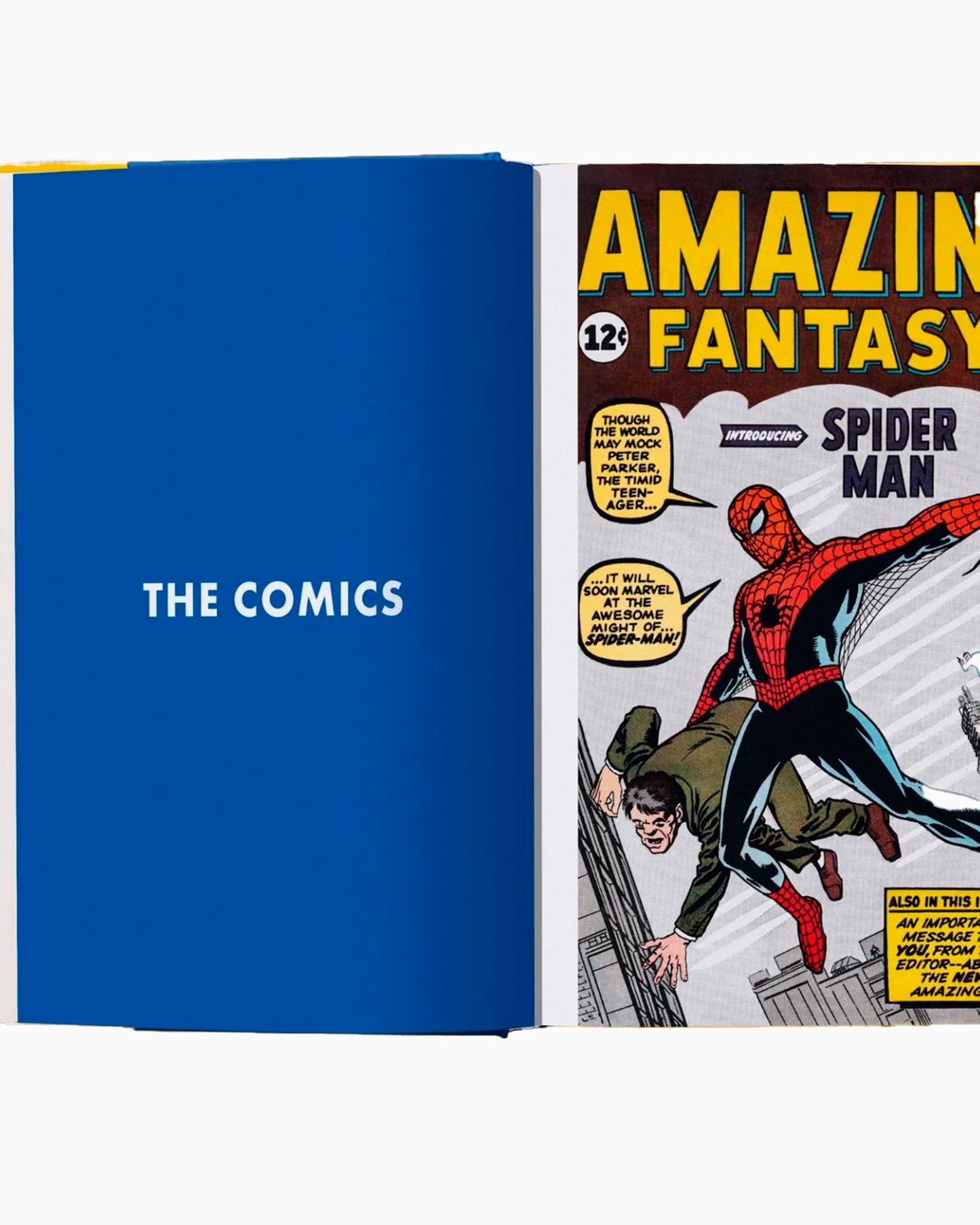 Taschen Marvel Comics Library. Spider-Man, V1, 1962-1964