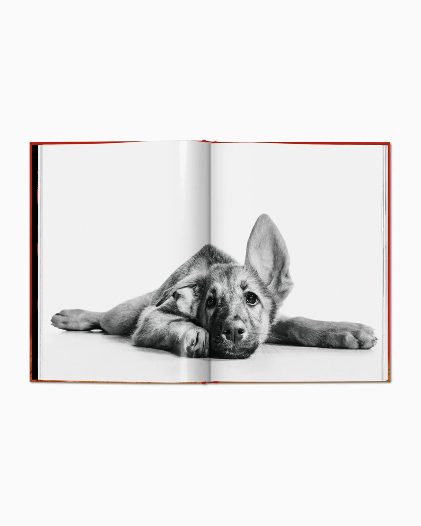 Taschen Walter Chandoha. Dogs. Photographs 1941–1991