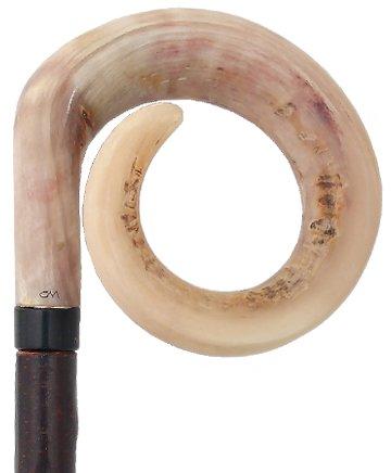 Curly Rams horn Handle Hiking Staff With Blackthorn wood Shaft
