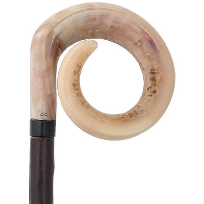 Curly Rams horn Handle Hiking Staff With Blackthorn wood Shaft