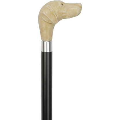 Faux Ivory White Labrador Handle Cane - Italian Handle w/Custom Shaft and Collar