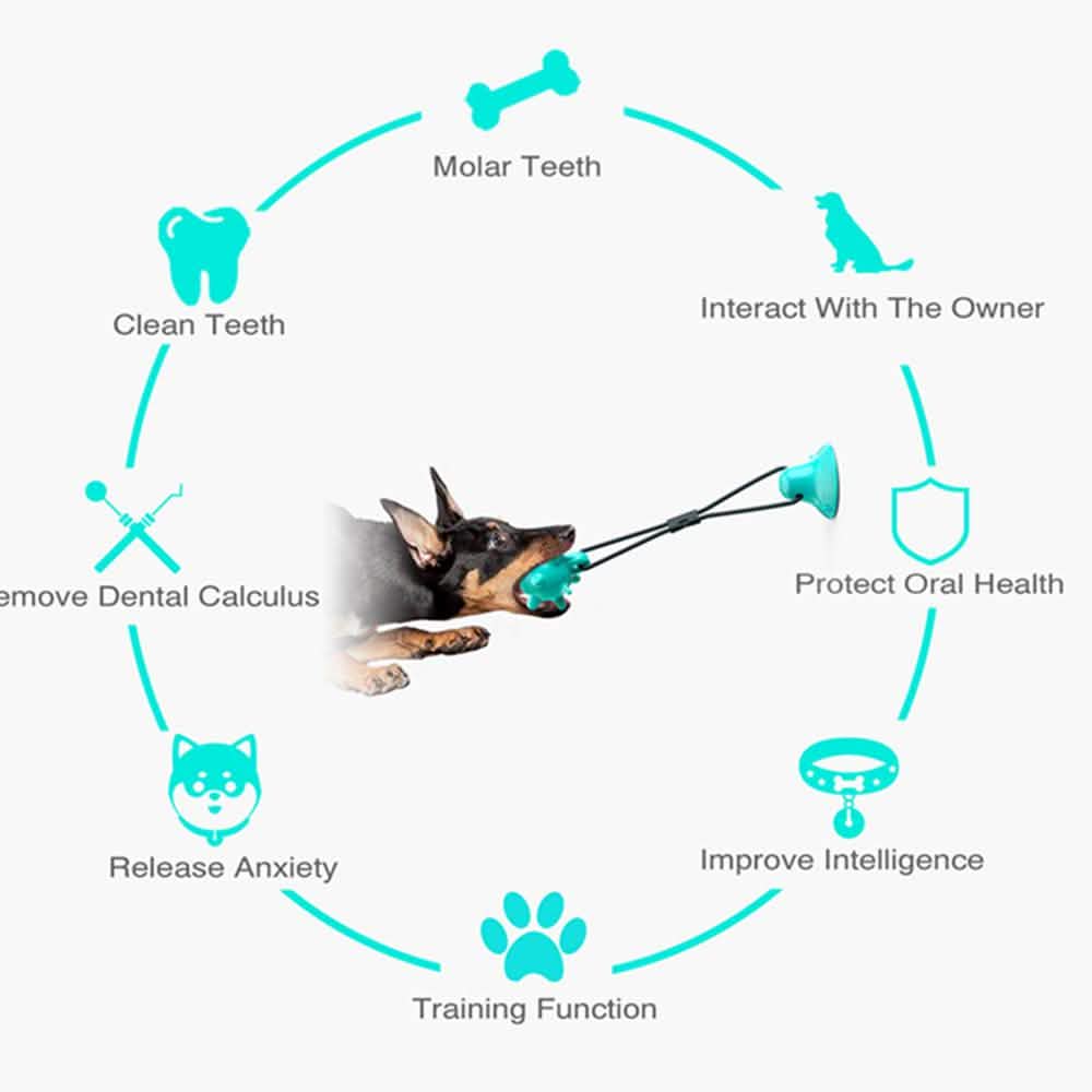 Dog Toys Silicon Suction Cup