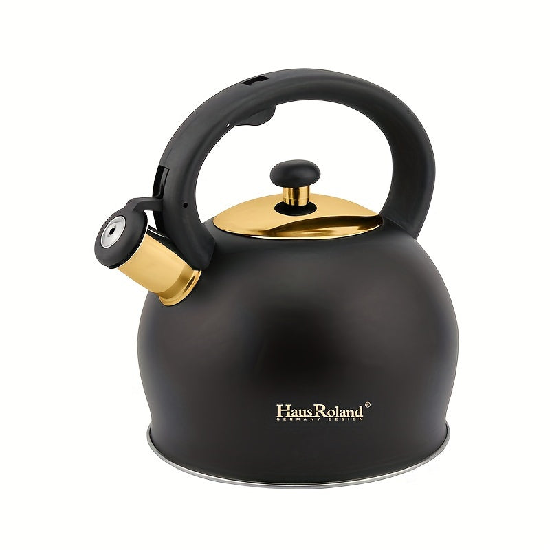 Kettle for Stainless Steel All Stovetops