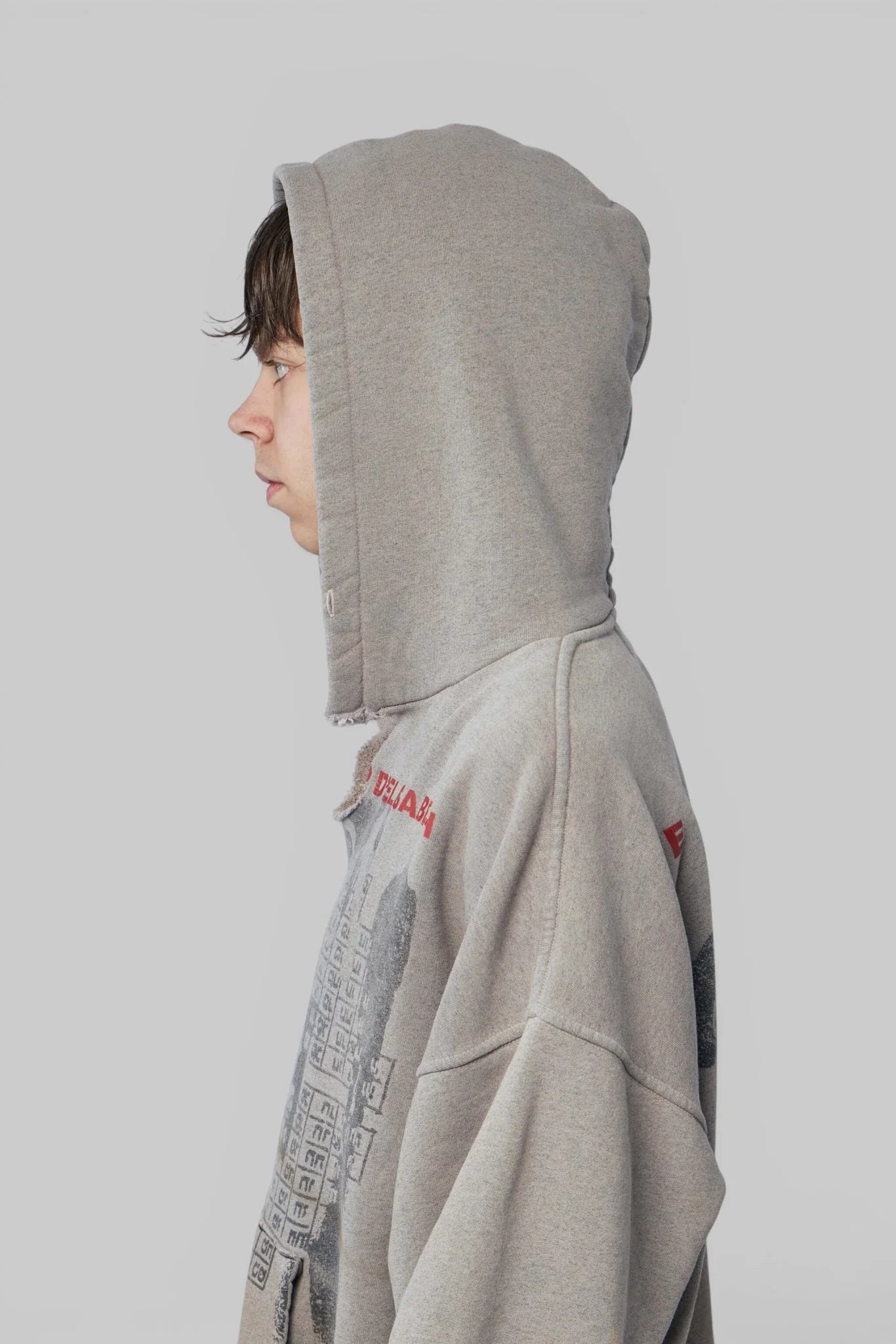 Photo D'elisabeth Hoodie