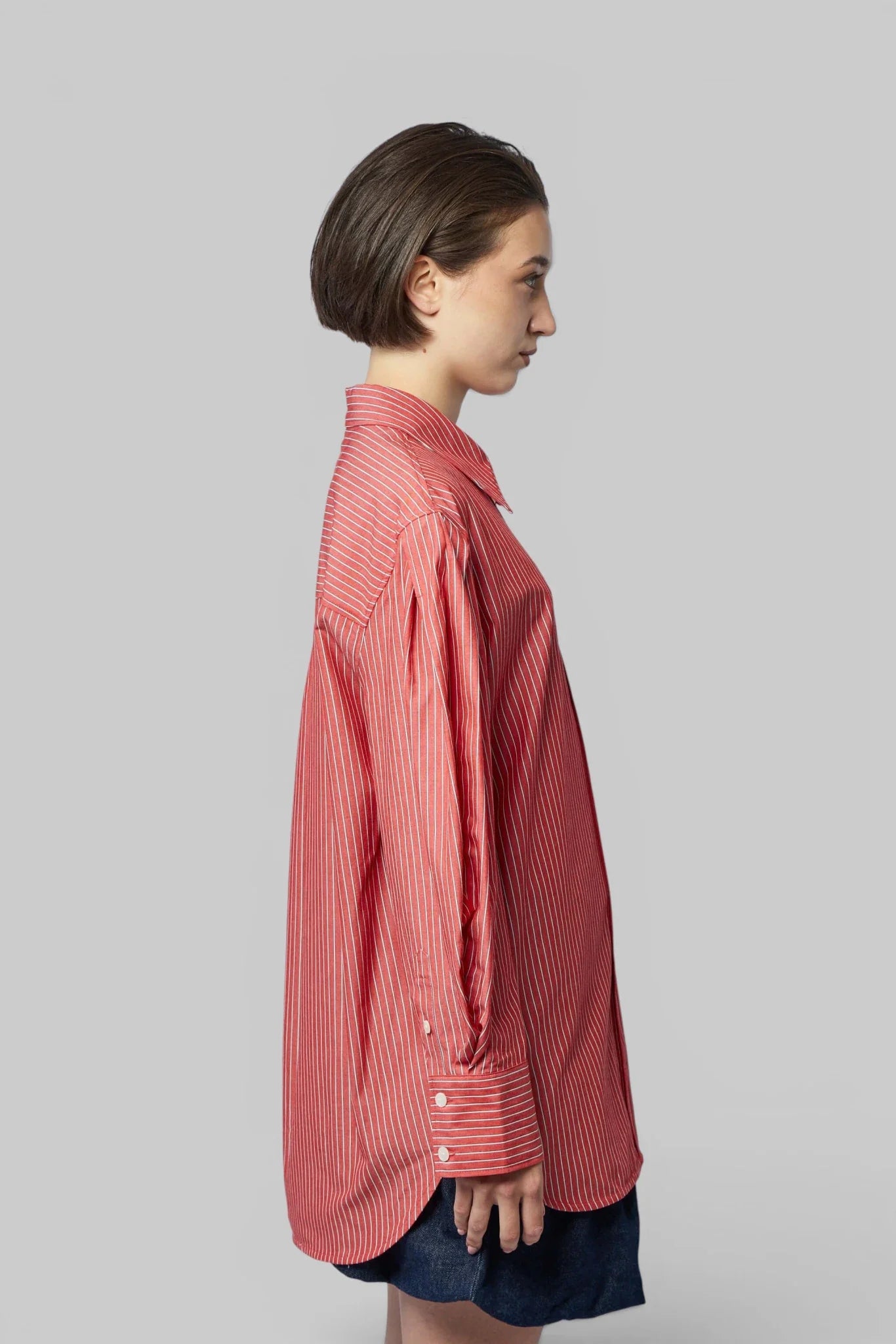 Oxford Stripe Pleated Sleeve Shirt