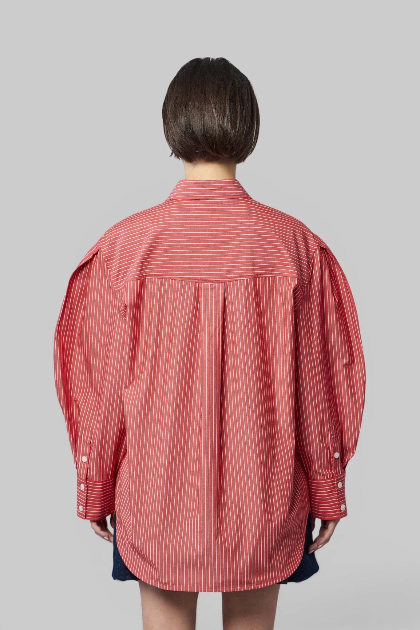Oxford Stripe Pleated Sleeve Shirt