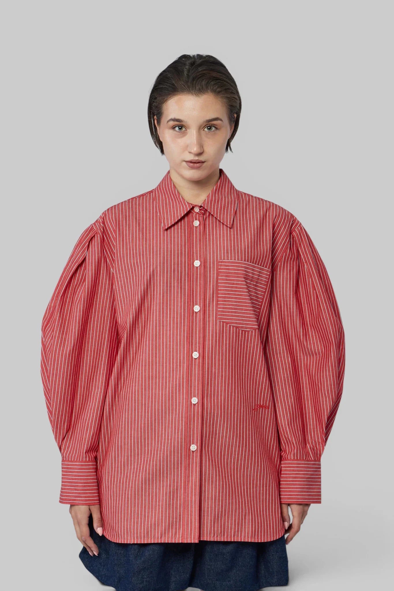 Oxford Stripe Pleated Sleeve Shirt
