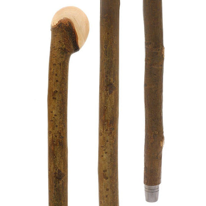 Natural Charm: Hazelwood Root Knobbed Cane with Leather Strap
