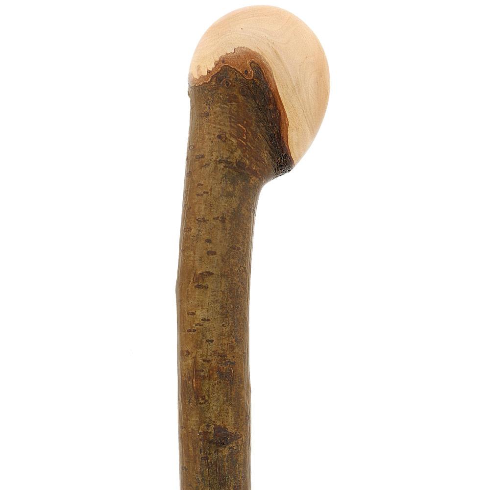 Natural Charm: Hazelwood Root Knobbed Cane with Leather Strap