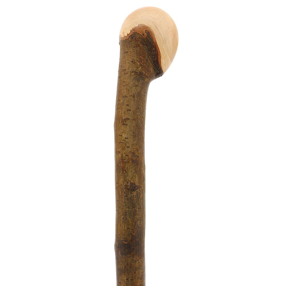 Natural Charm: Hazelwood Root Knobbed Cane with Leather Strap