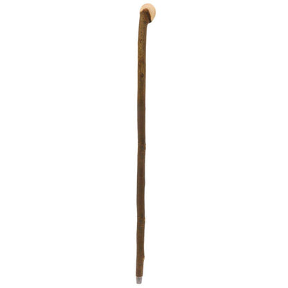 Natural Charm: Hazelwood Root Knobbed Cane with Leather Strap