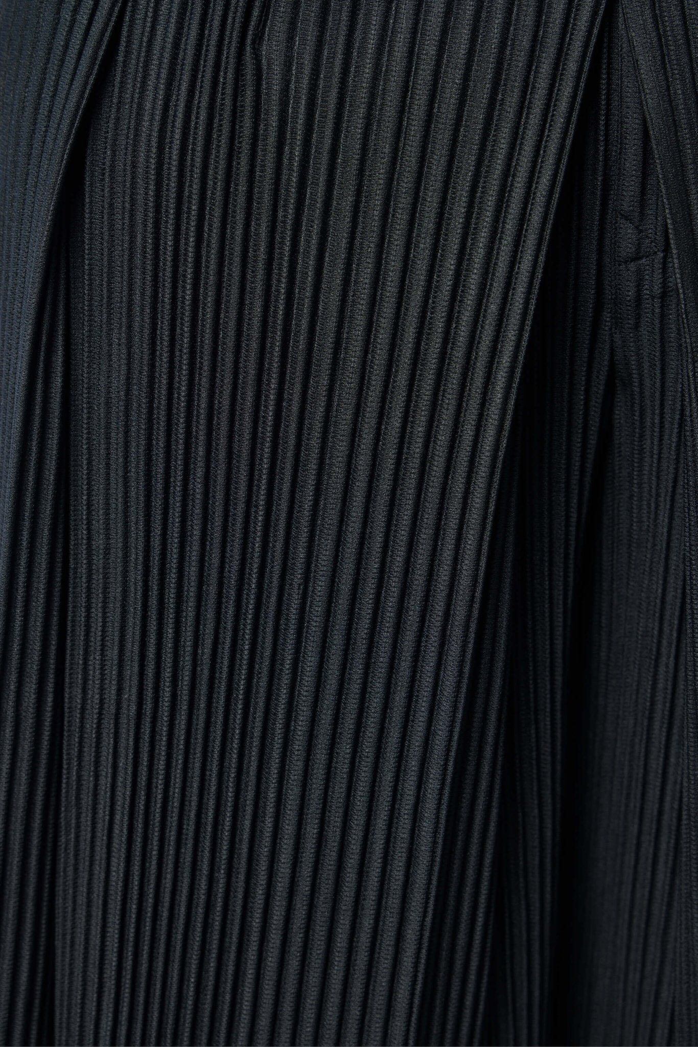 Tailored Pleats 2 Pants