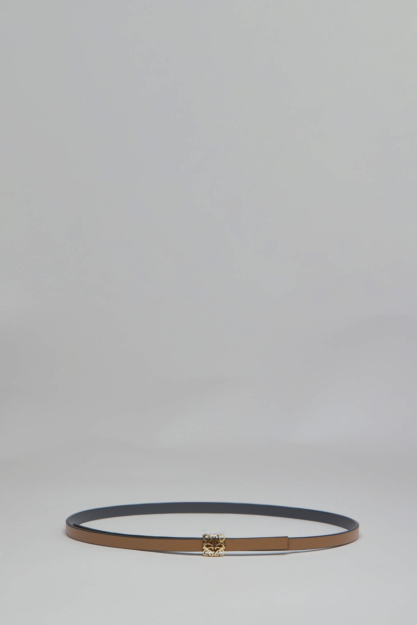Reversible Anagram Bombé Belt