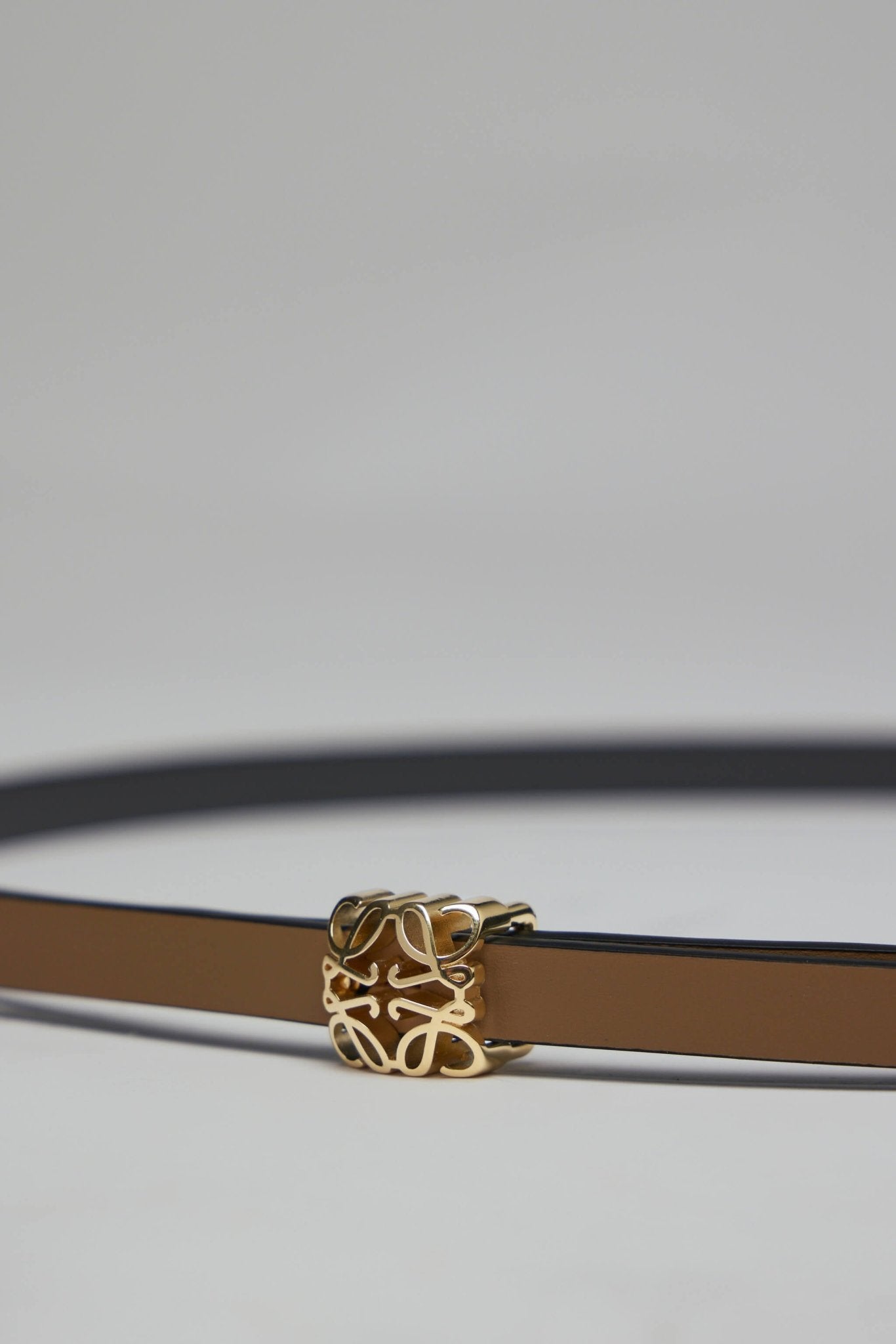 Reversible Anagram Bombé Belt