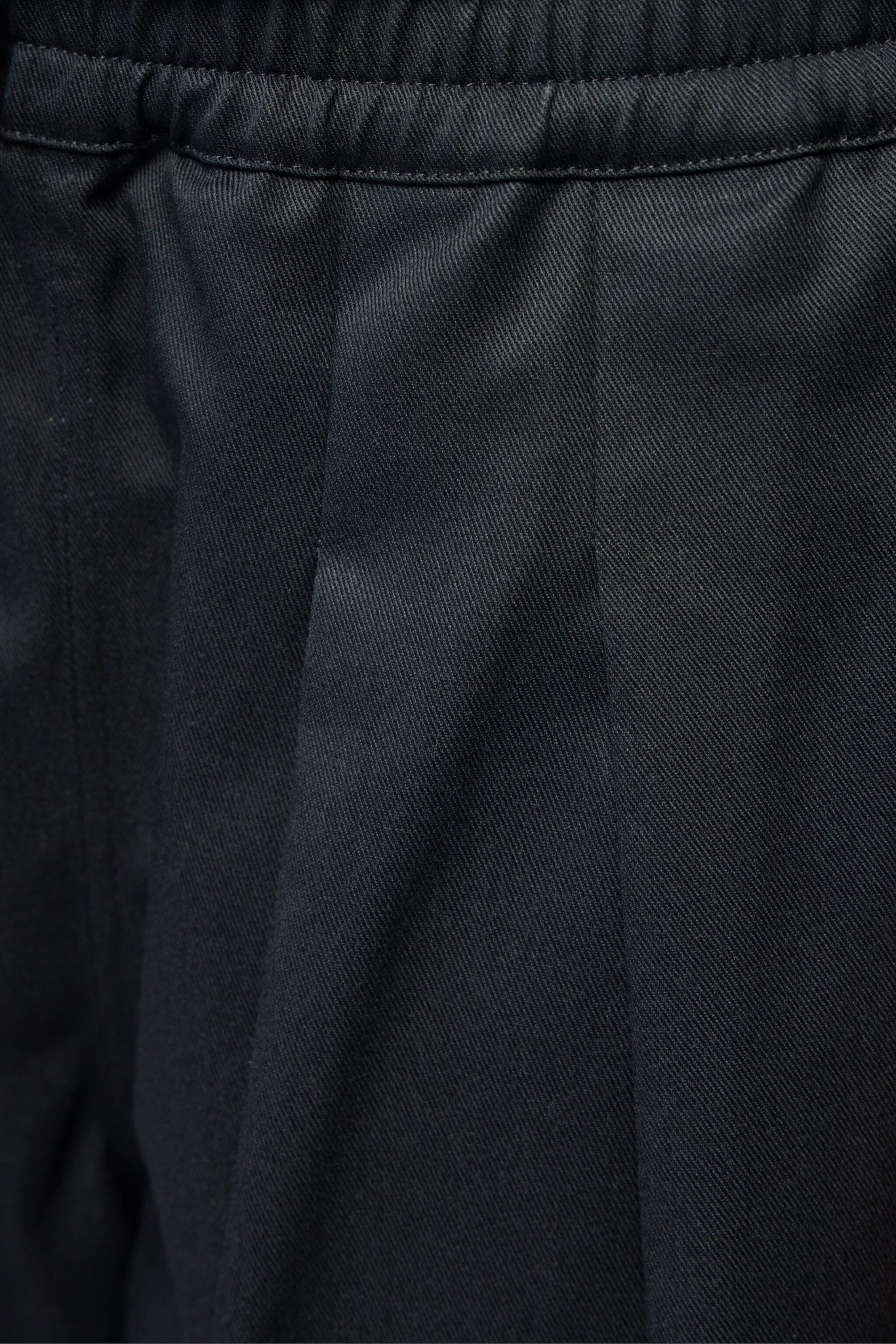 Pleated Wide-leg Pants