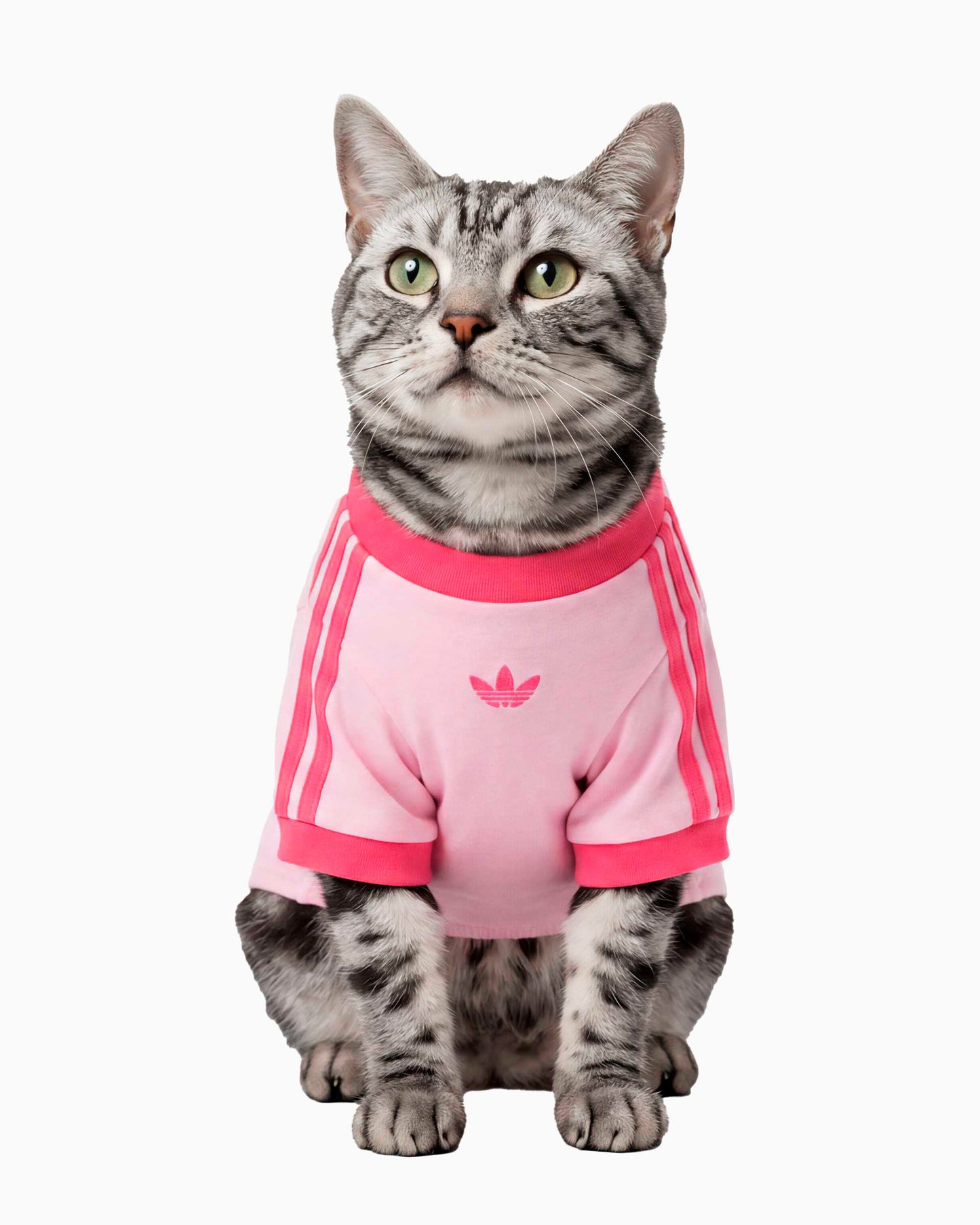 Camiseta para mascotas adidas Originals Cali