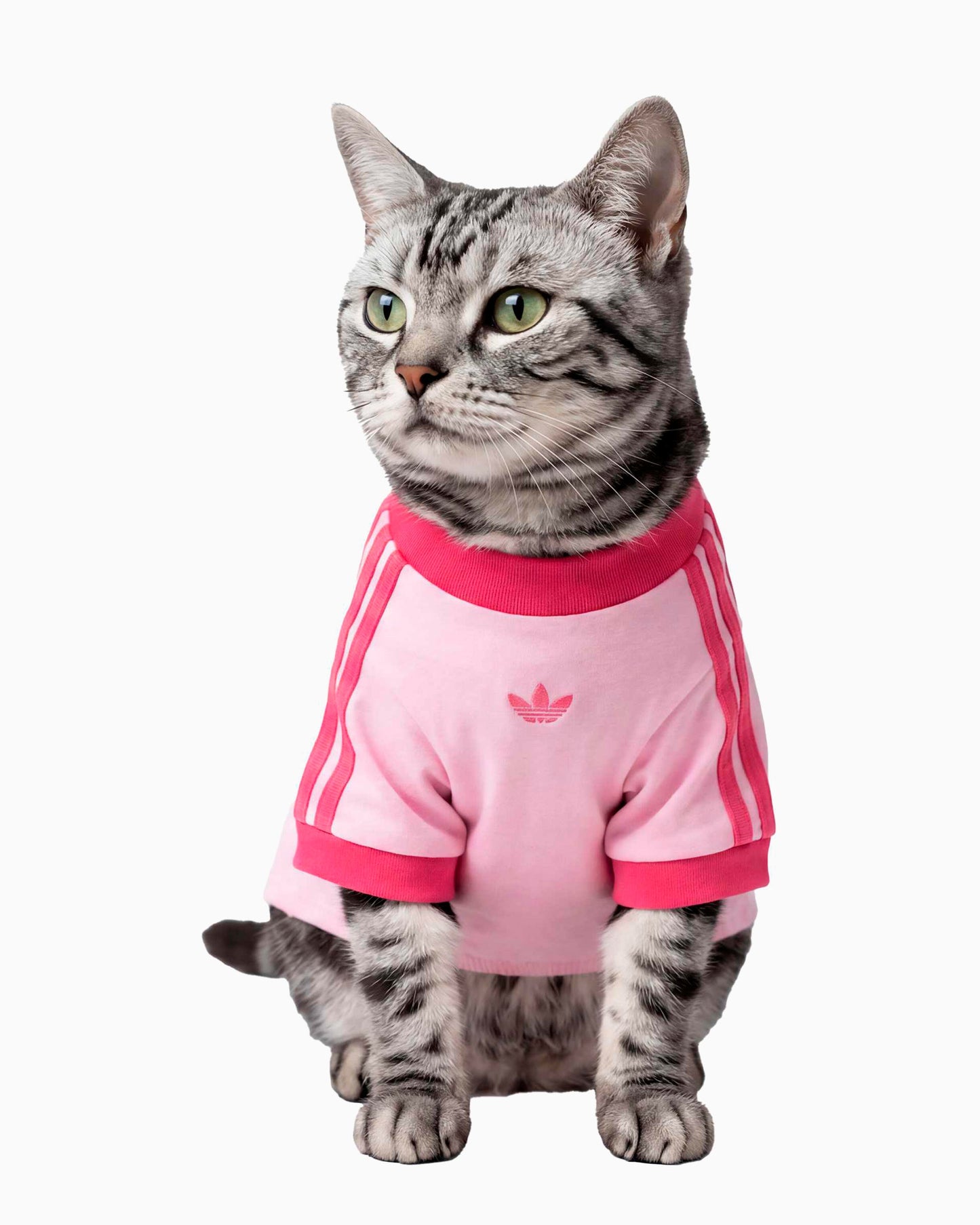 Camiseta para mascotas adidas Originals Cali