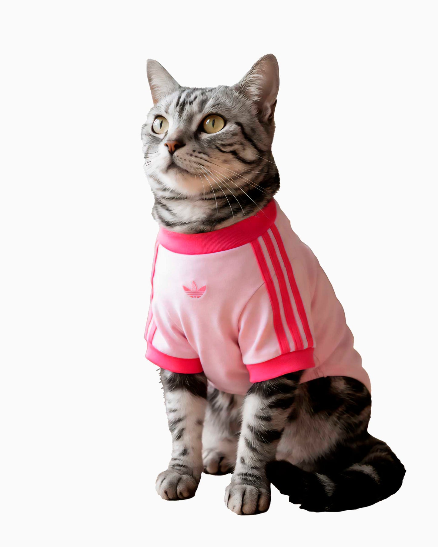 Camiseta para mascotas adidas Originals Cali