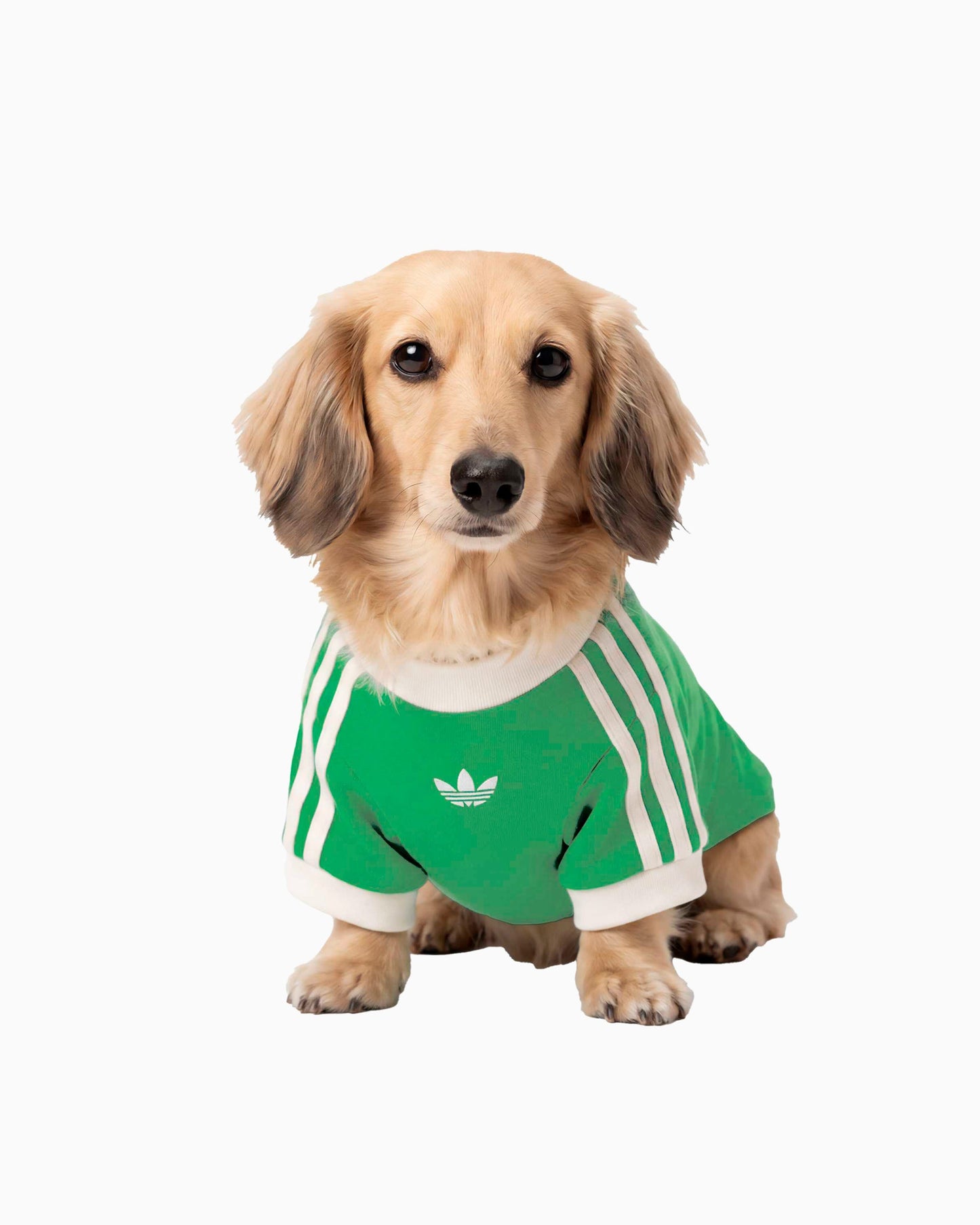 Camiseta para mascotas adidas Originals Cali