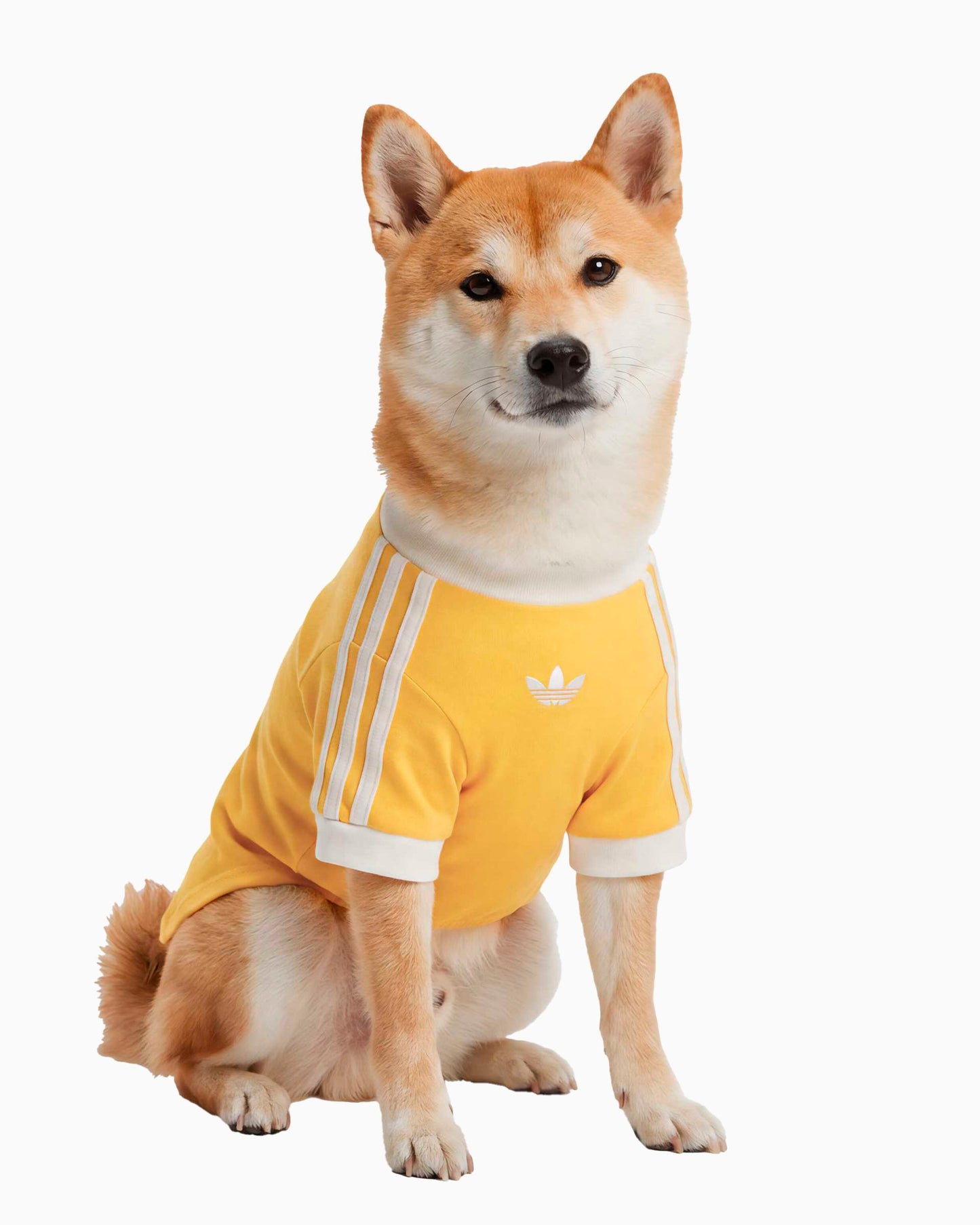 Camiseta para mascotas adidas Originals Cali