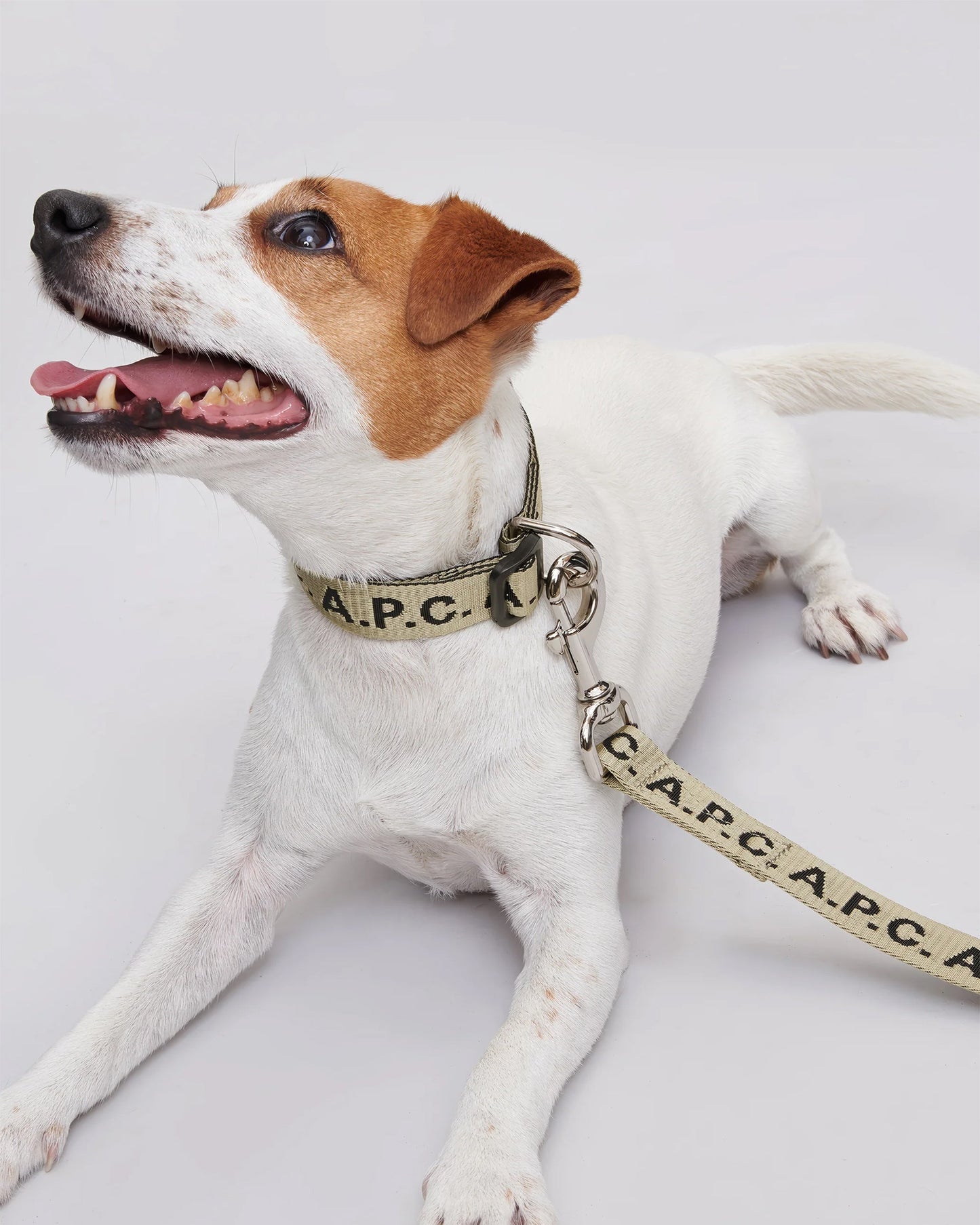 Correa para perros A.P.C. Toutou