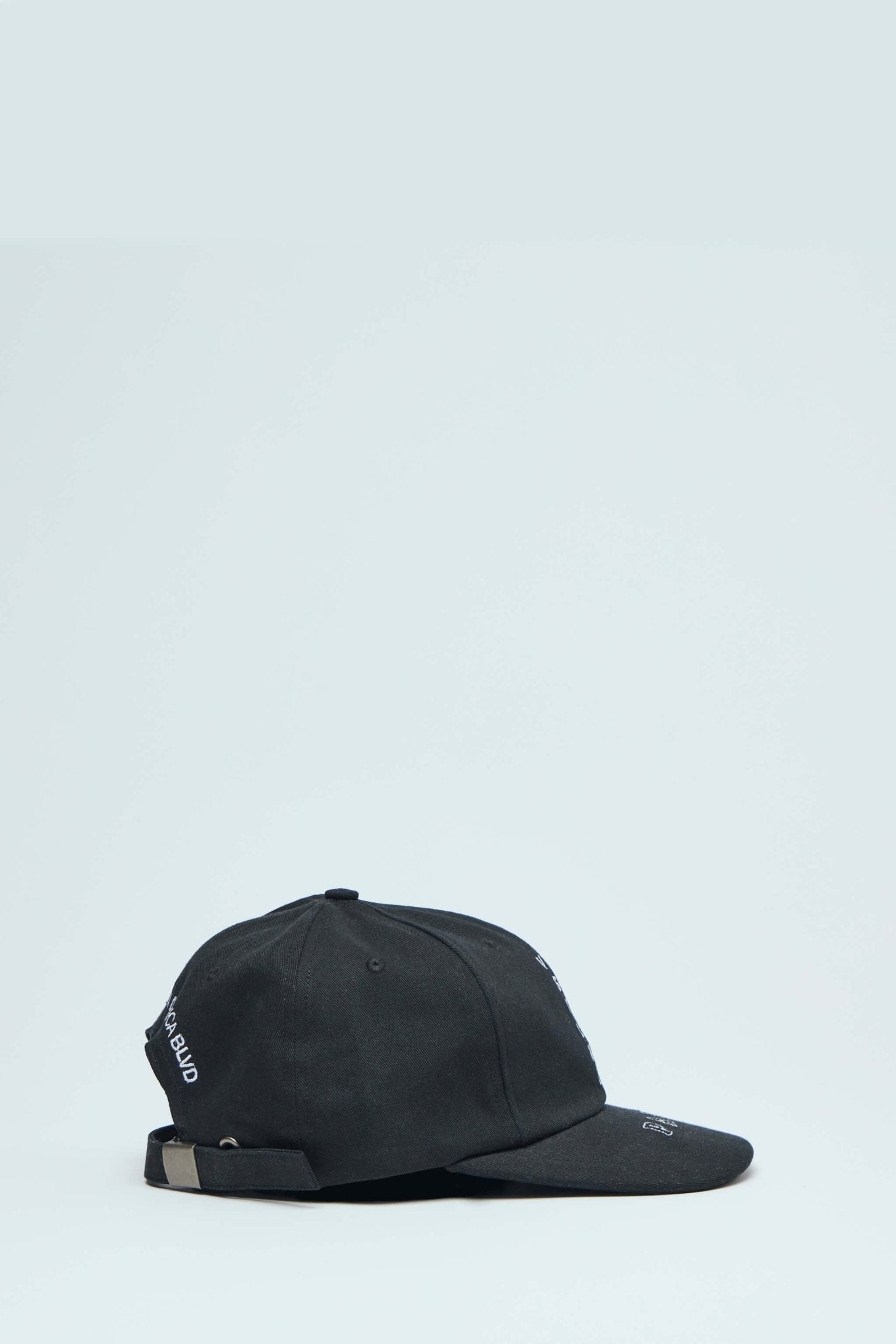 Vsslne Alley Low Profile Hat