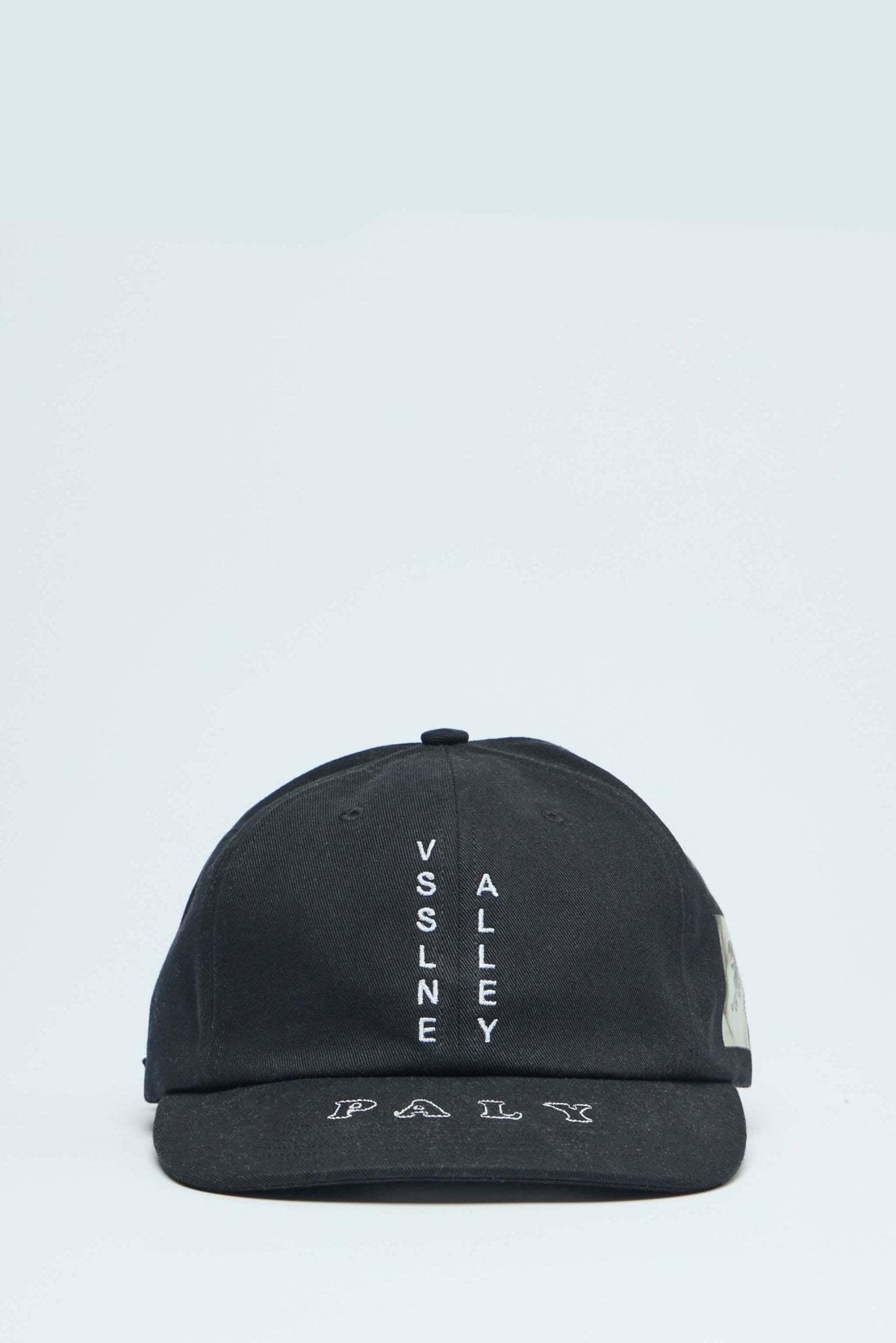 Vsslne Alley Low Profile Hat