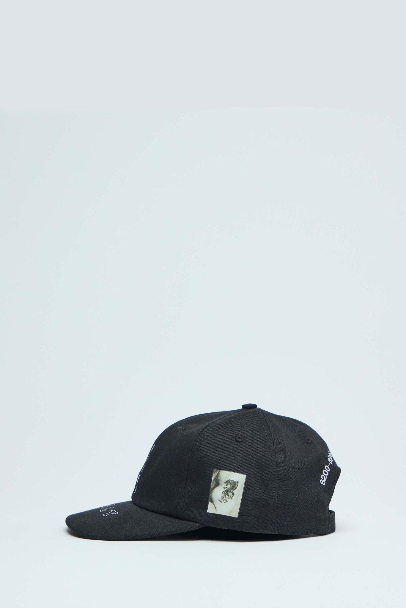 Vsslne Alley Low Profile Hat