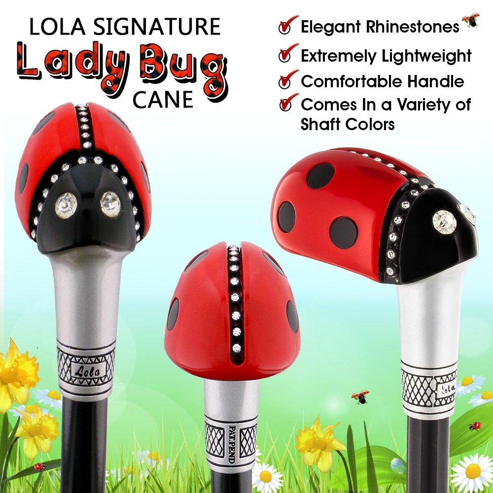 Ladybug Lola Signature 6-in-1 Ultimate Cane Kit with Travel Storage Bag