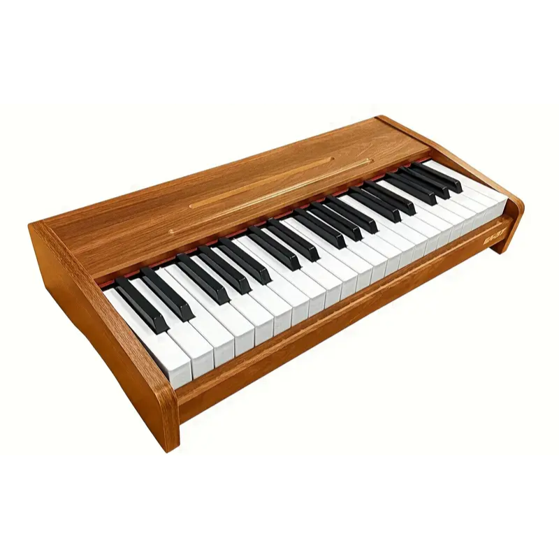 Electronic Keyboard Piano for Beginners