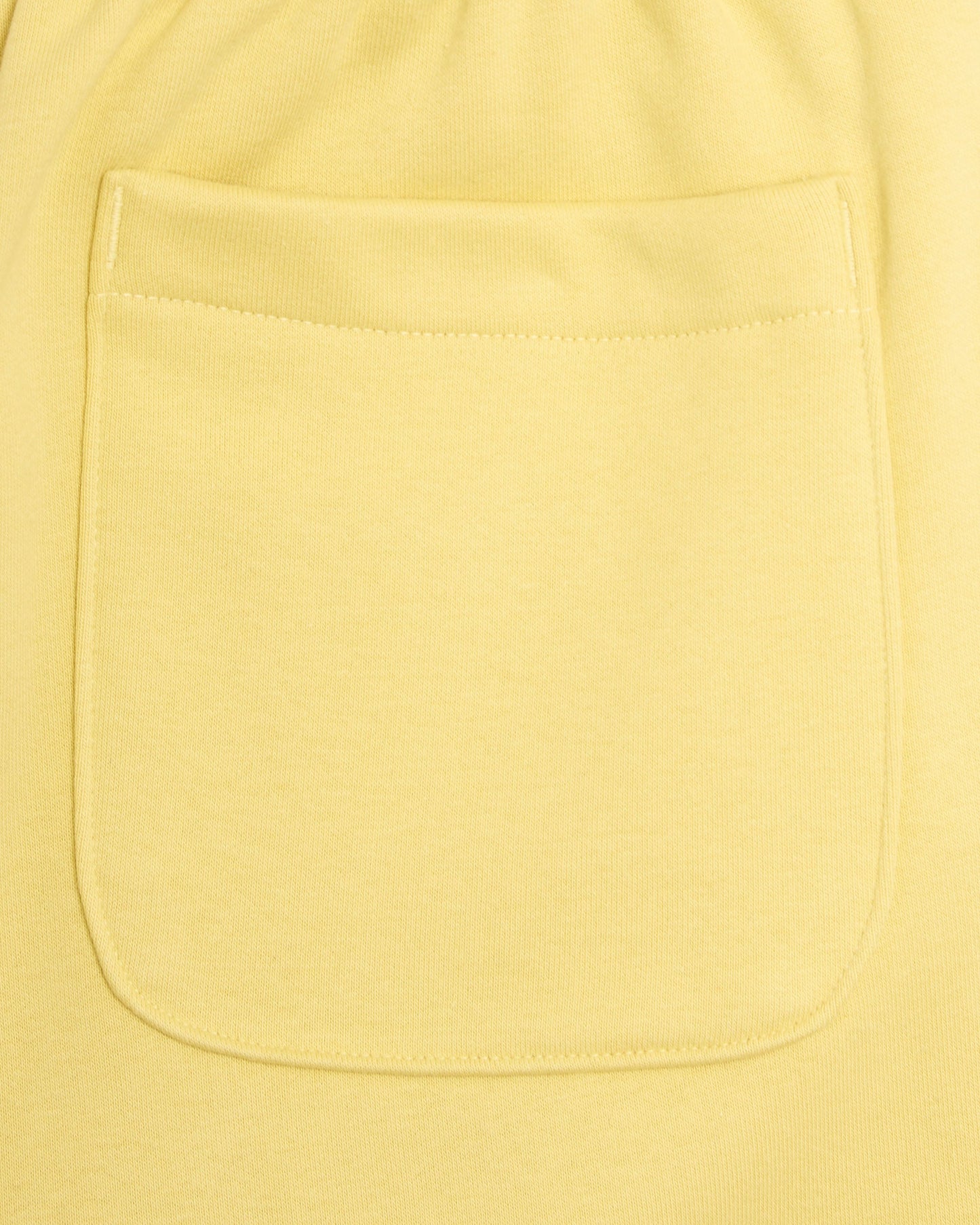 Pantalones cortos con logo The North Face Red Box Fleece para hombre