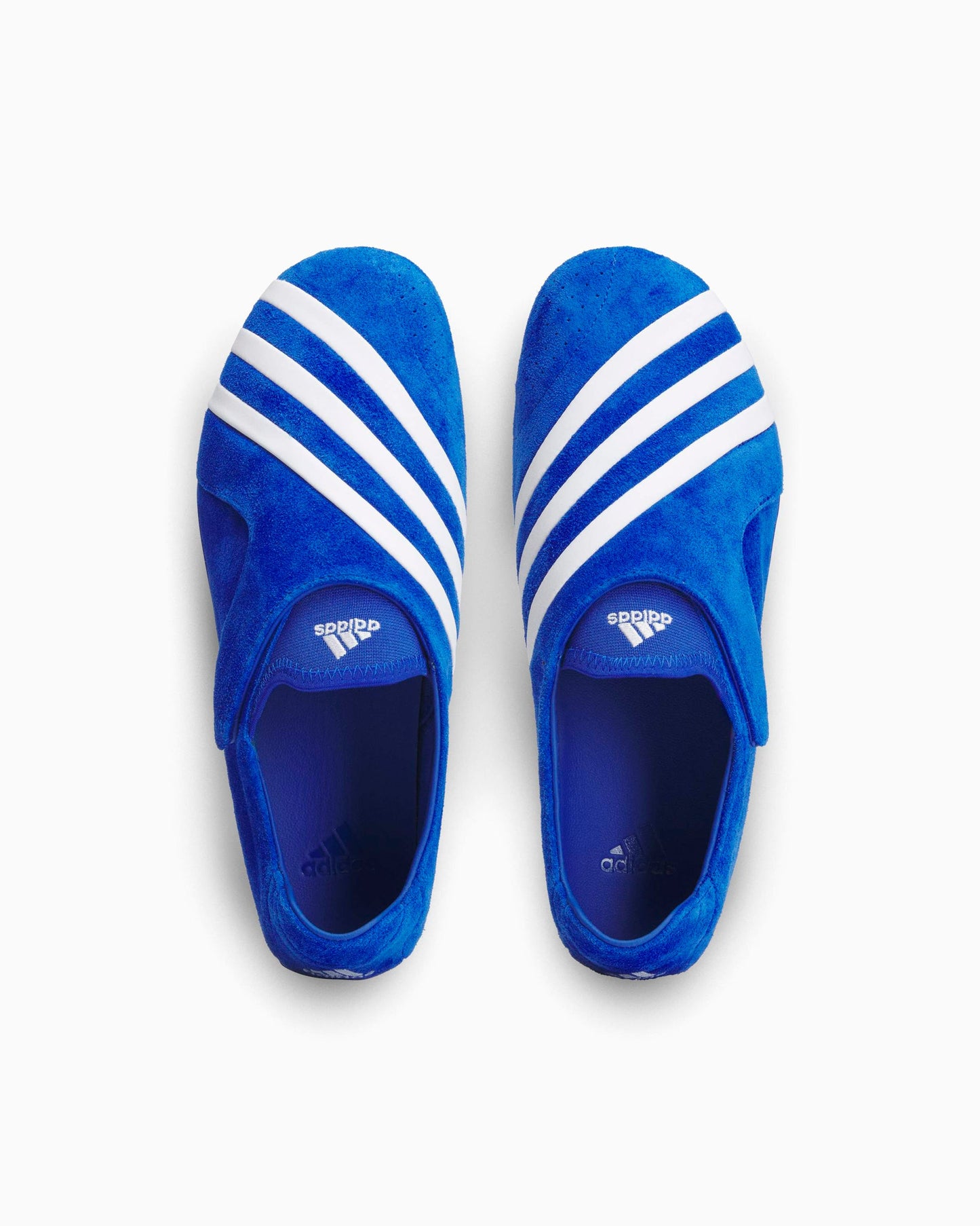 adidas Originals x Pharrell Williams Virginia Vario Flat Earther