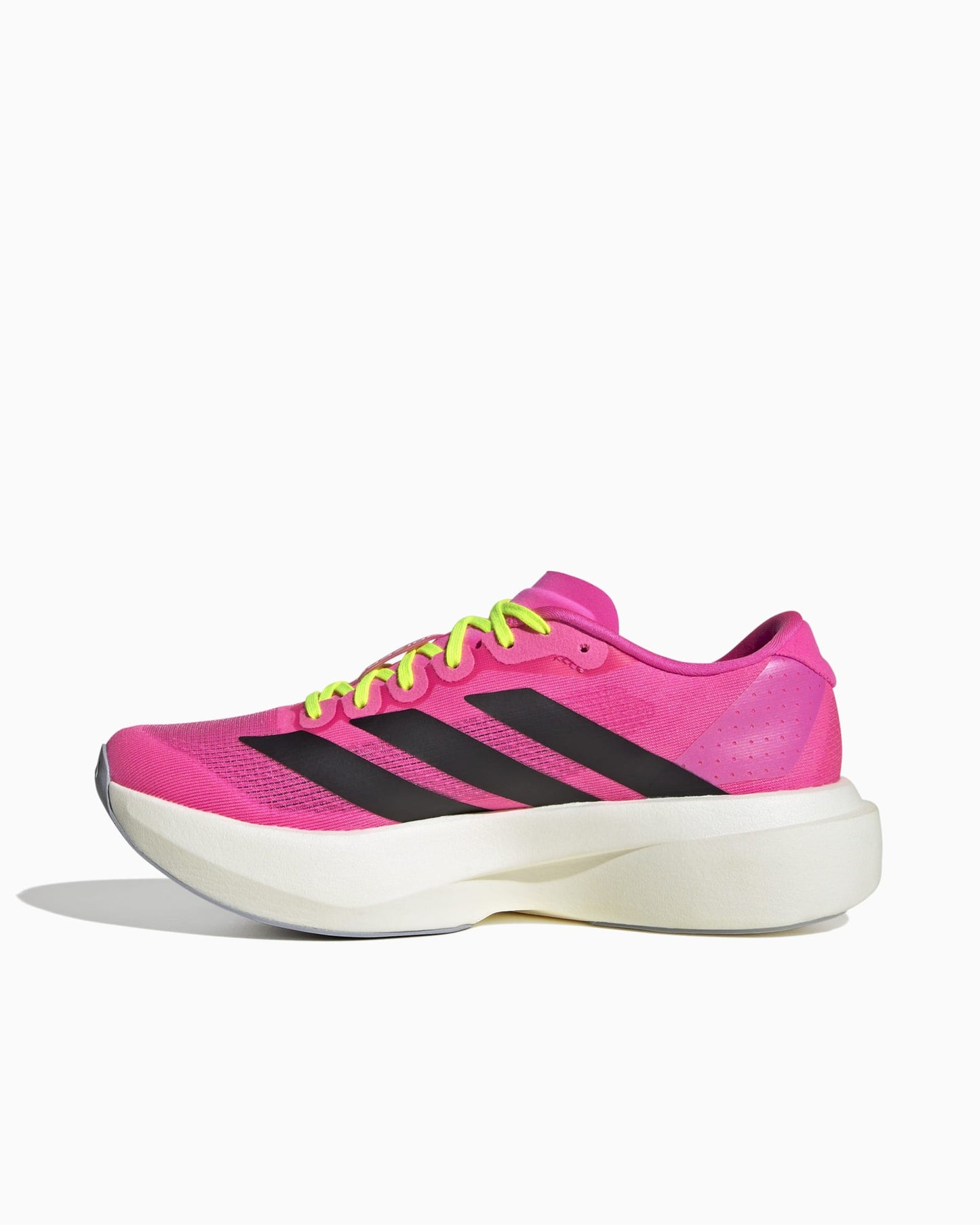 adidas Performance Women's Adizero Evo SL Continental