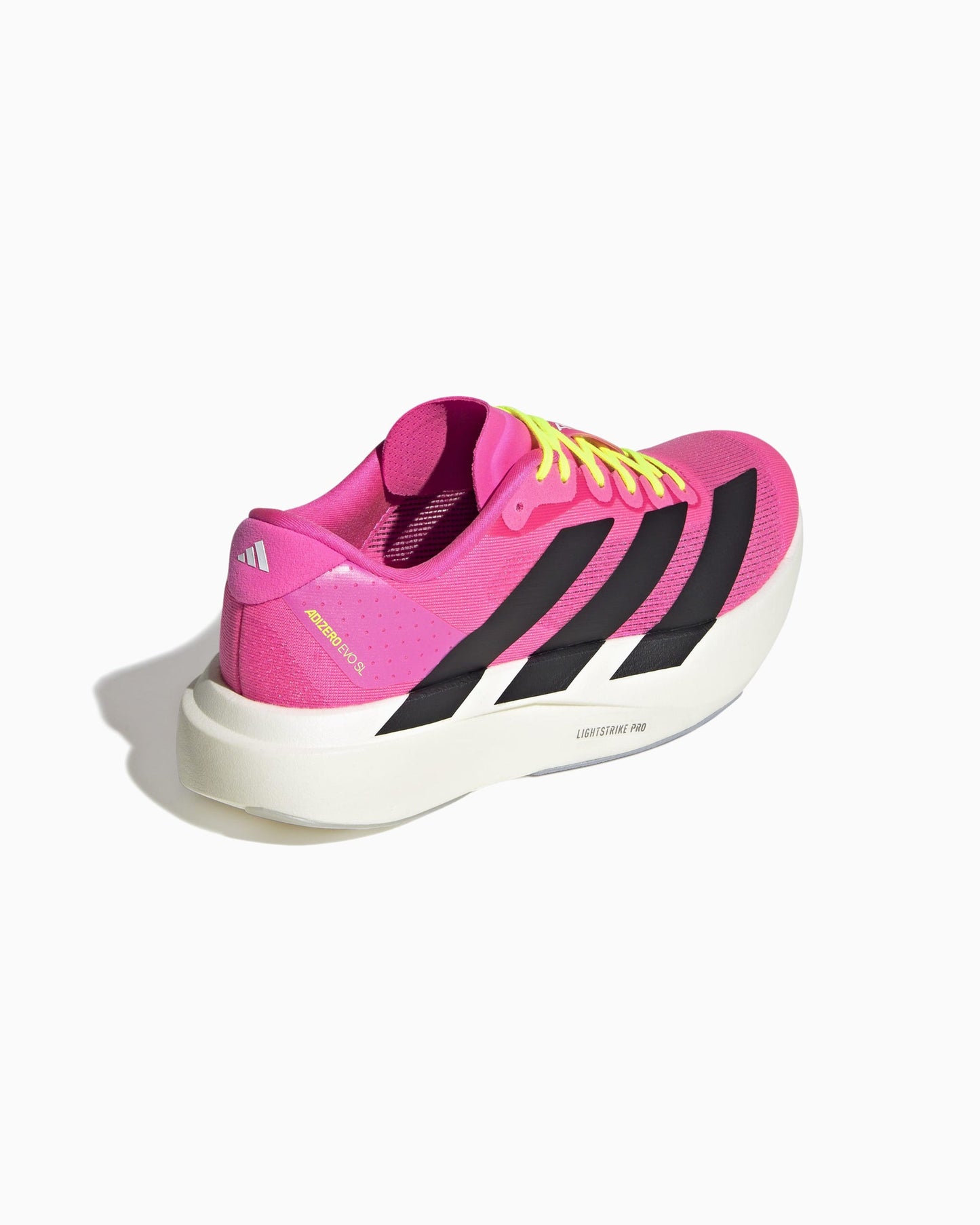 adidas Performance Women's Adizero Evo SL Continental