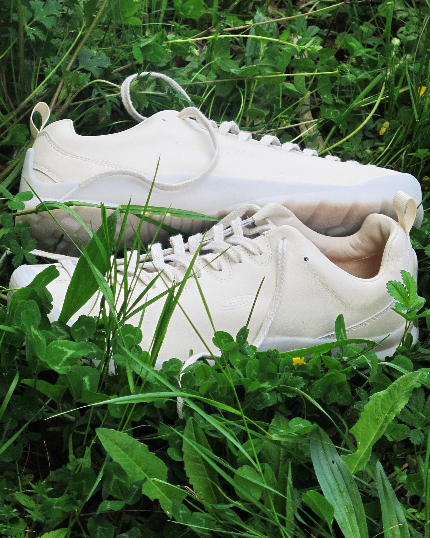 KEEN Jasper SE1 "Atmosphere Pack"