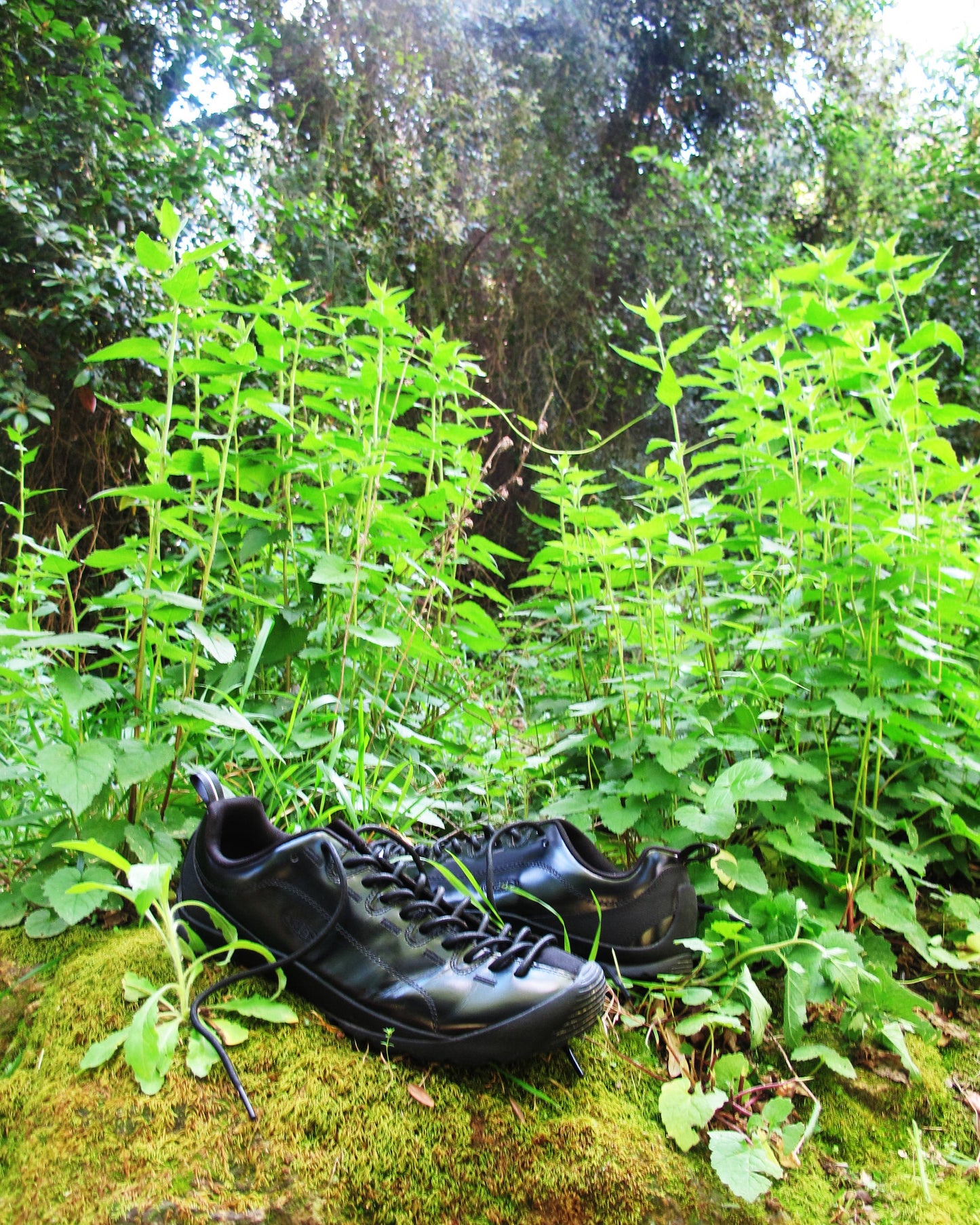 KEEN Women's Jasper "Perseid Pack"