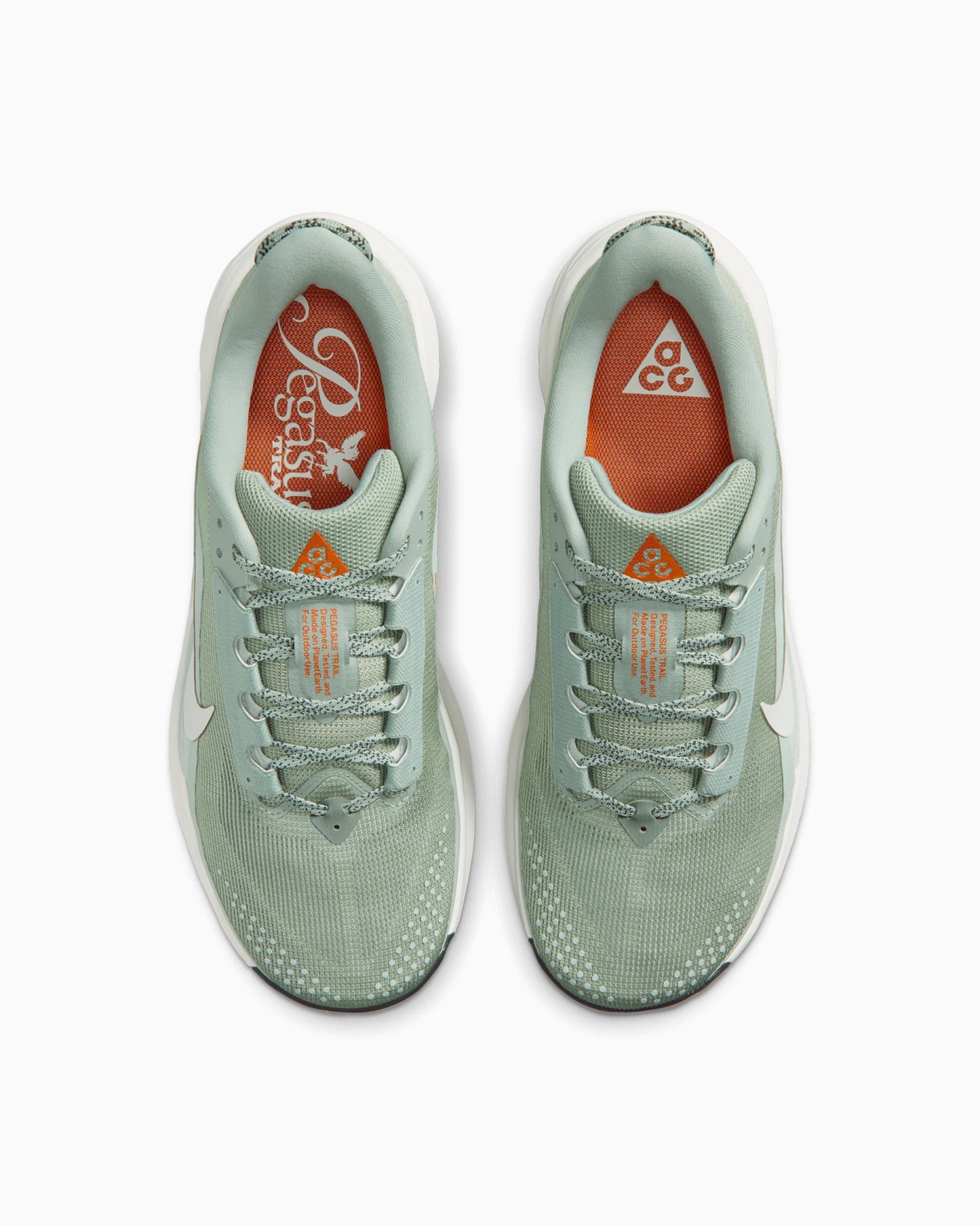 Nike ACG Pegasus Trail