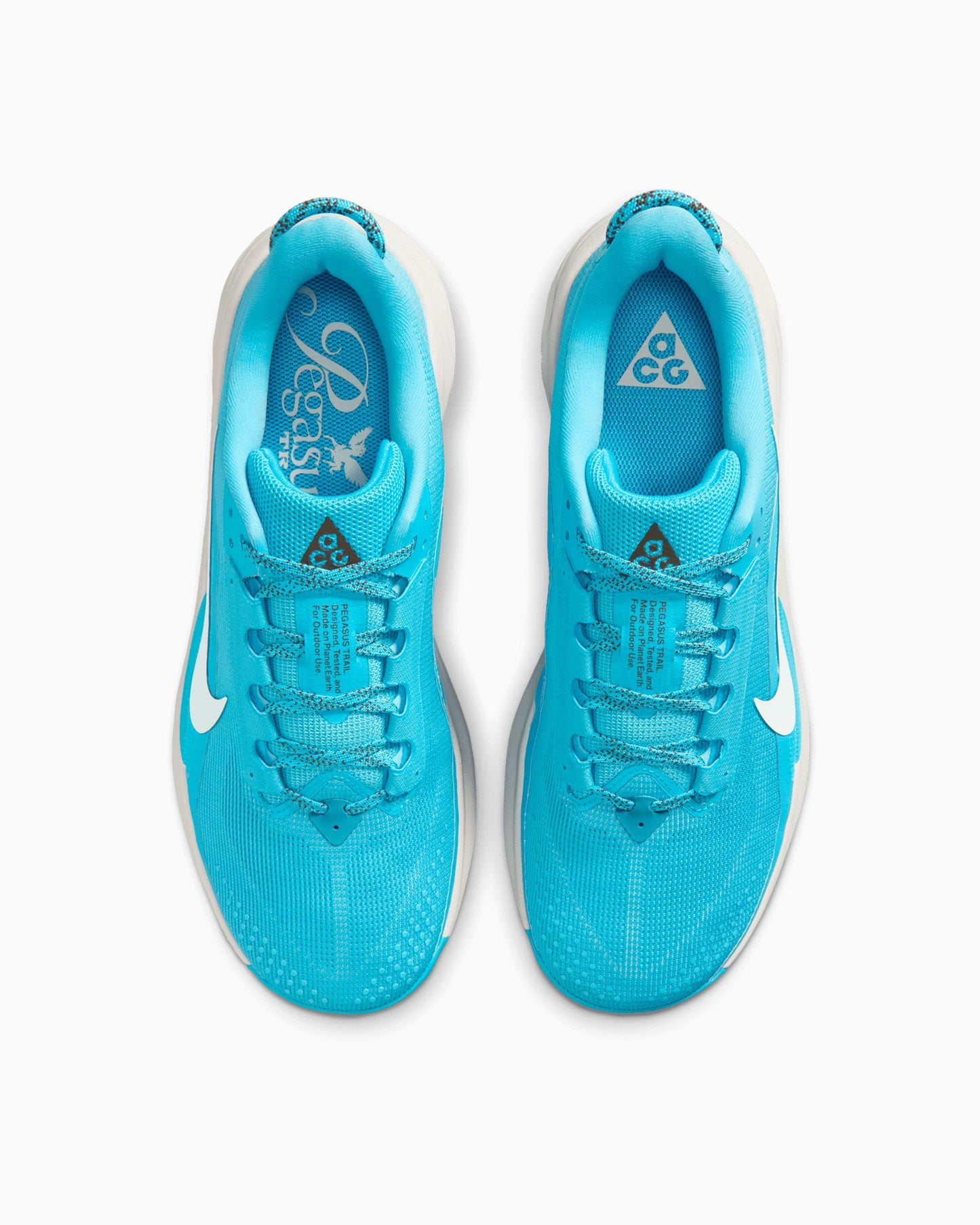 Nike ACG Pegasus Trail