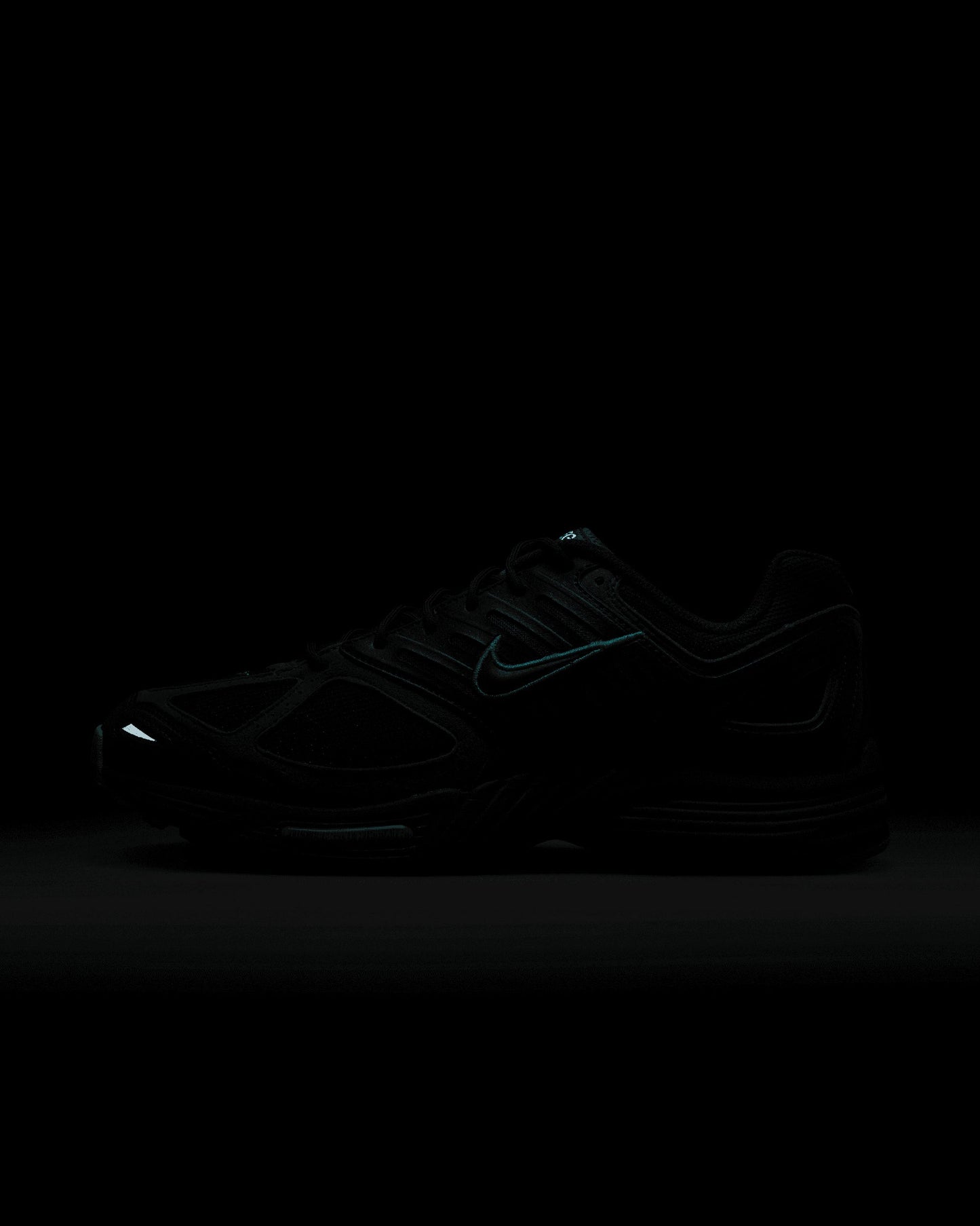 Nike Air Pegasus 2005 "Fir"